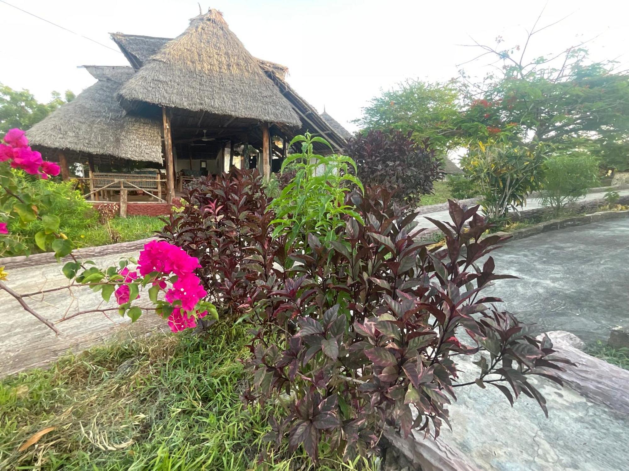 Hotel Zanzi Rest *