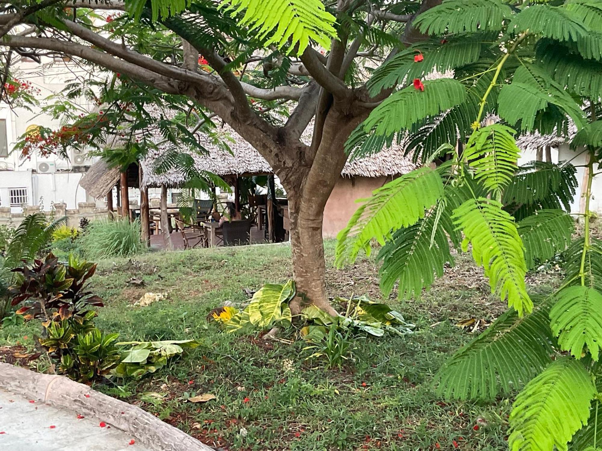 Hotel Zanzi Rest Nungwi
