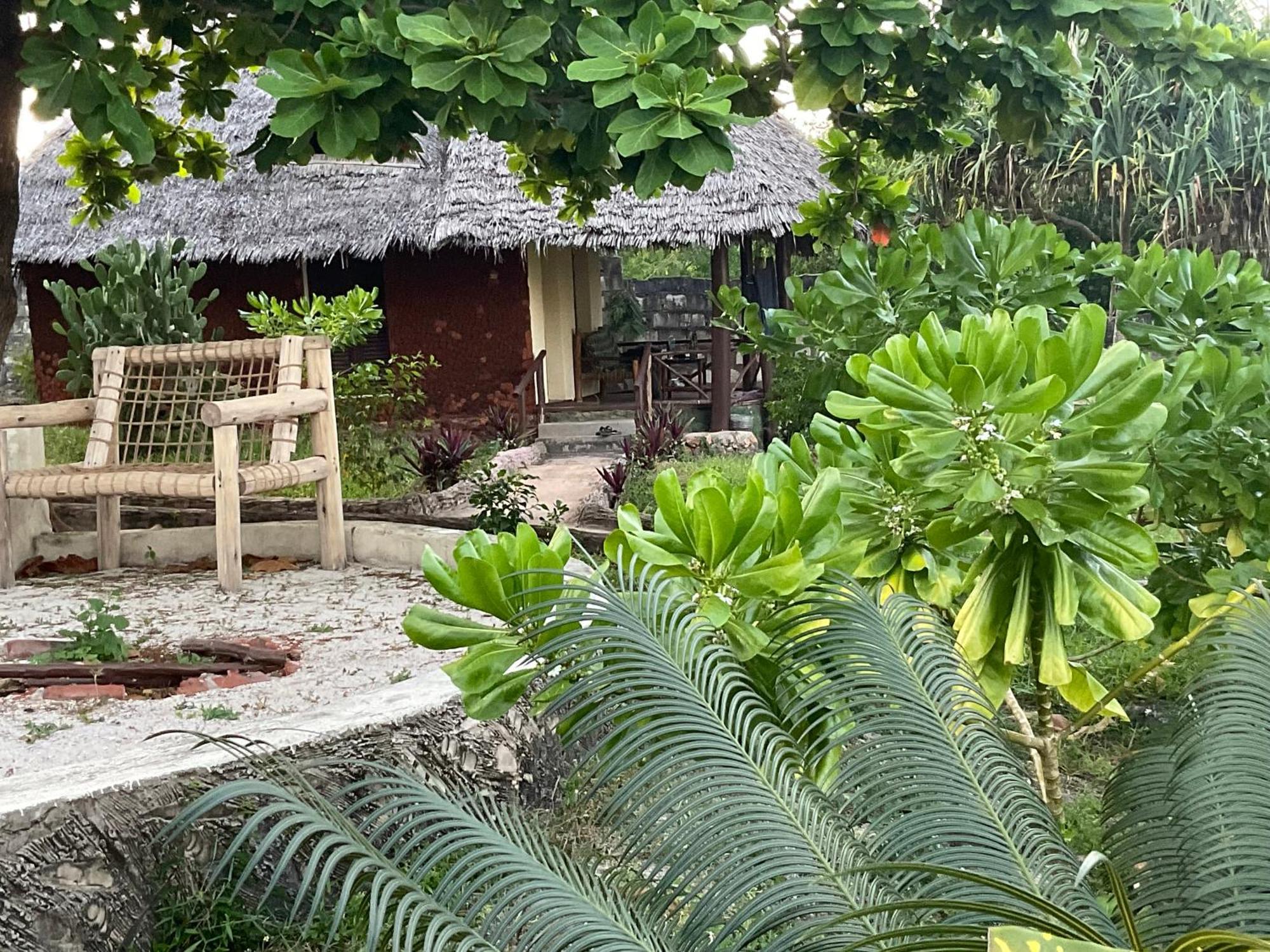 Zanzi Rest Nungwi