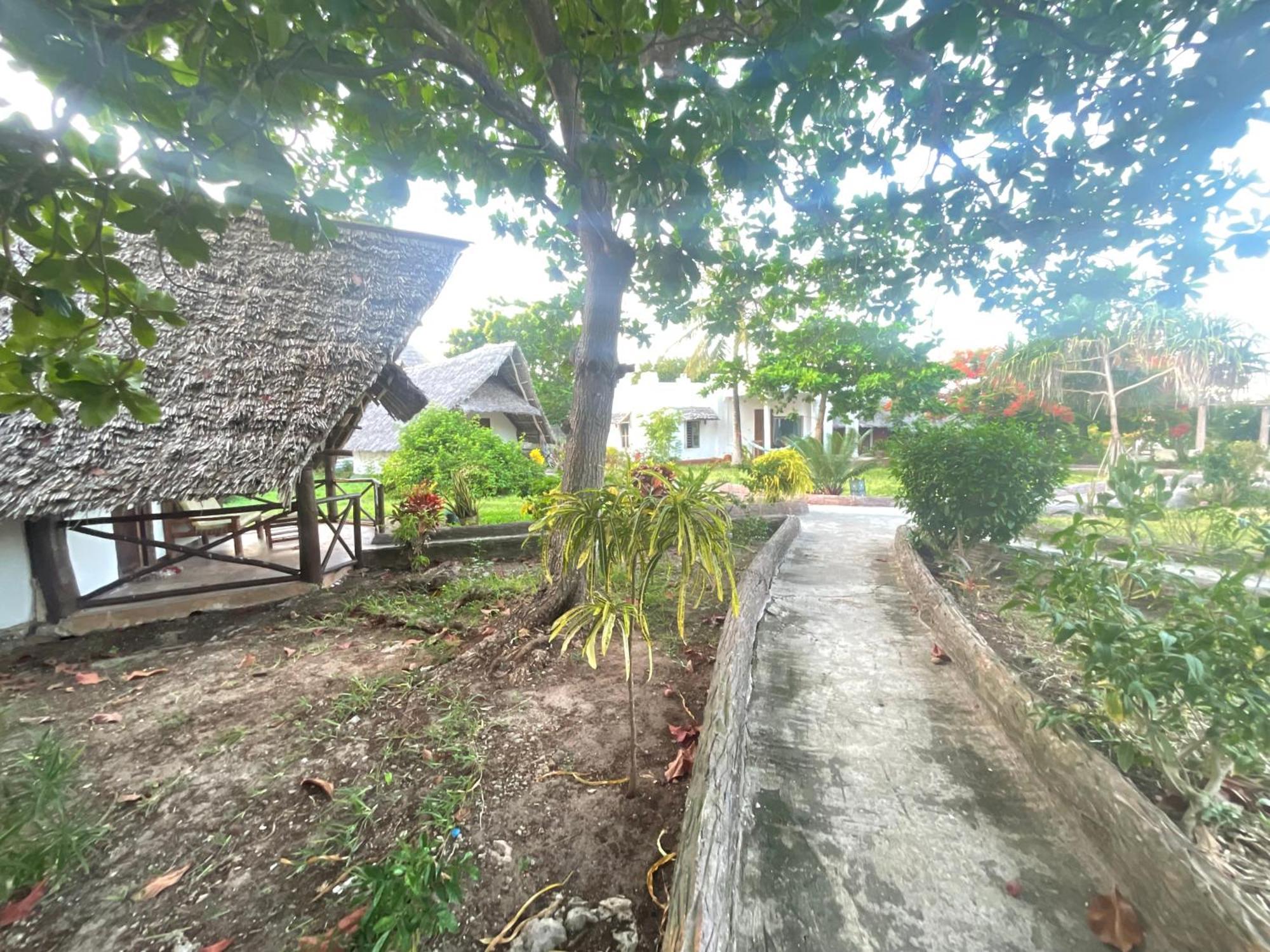 Zanzi Rest Nungwi