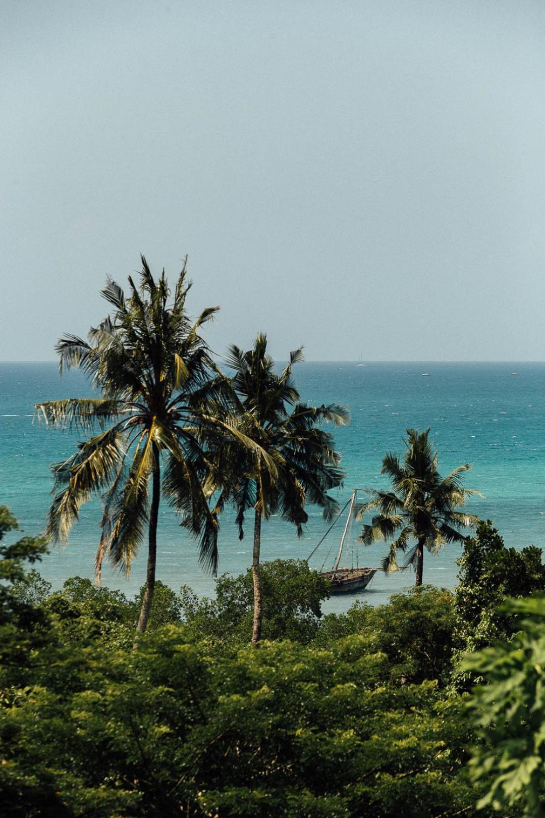Stone Town View Luxury Villa