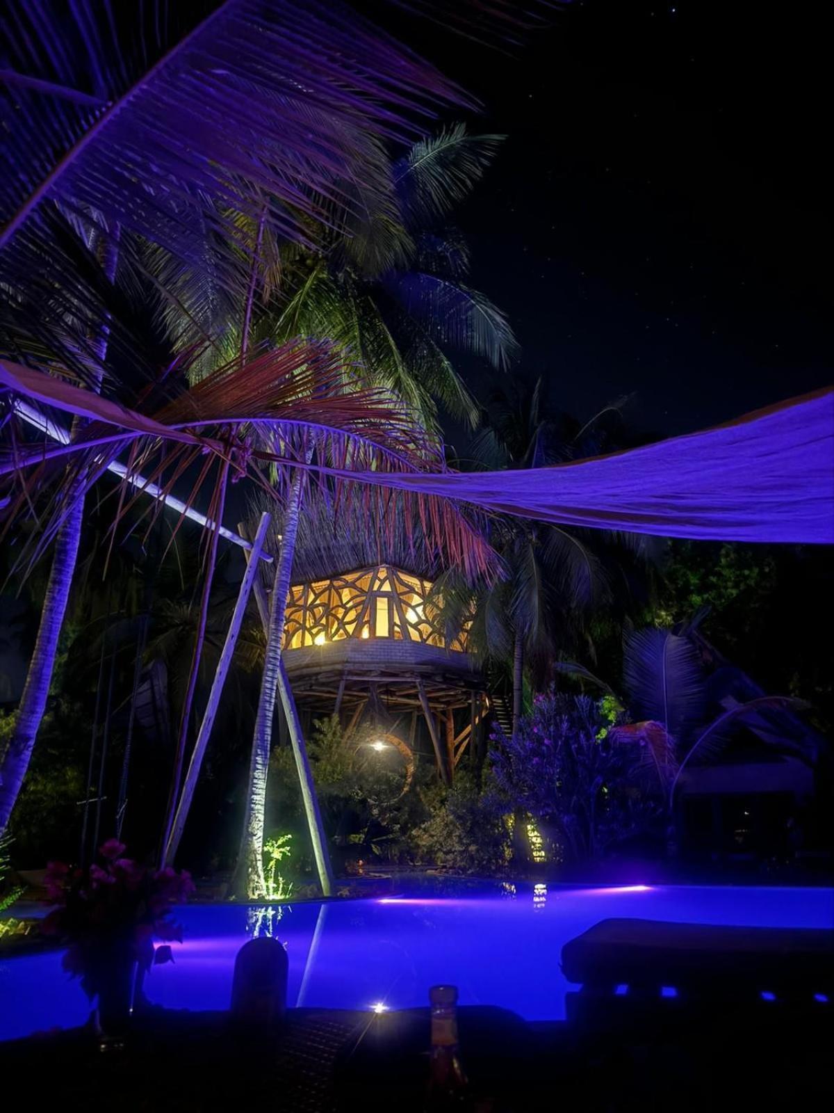 The Nest Tropical Oasis * Paje