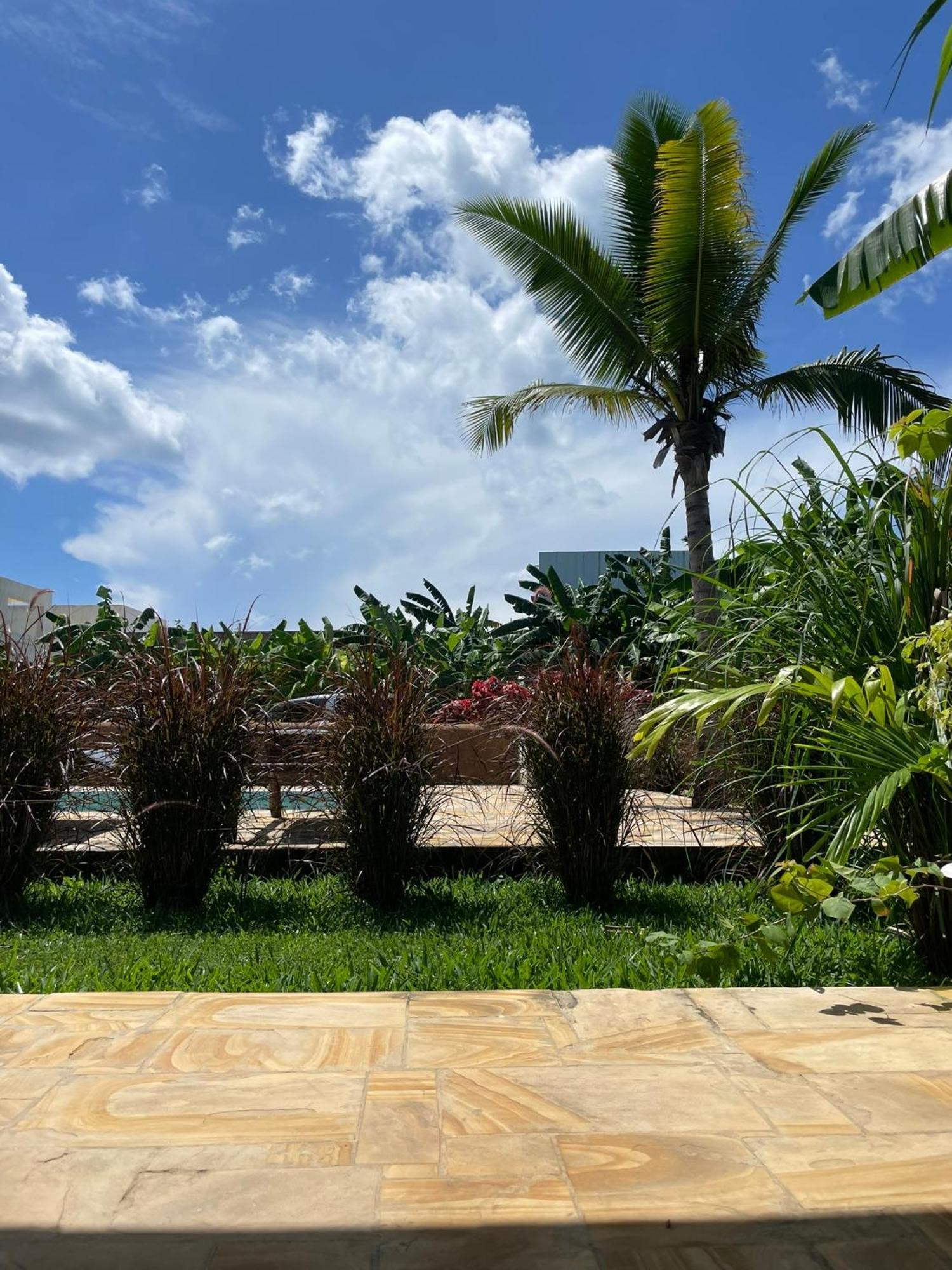 Cdm Zanzibar *