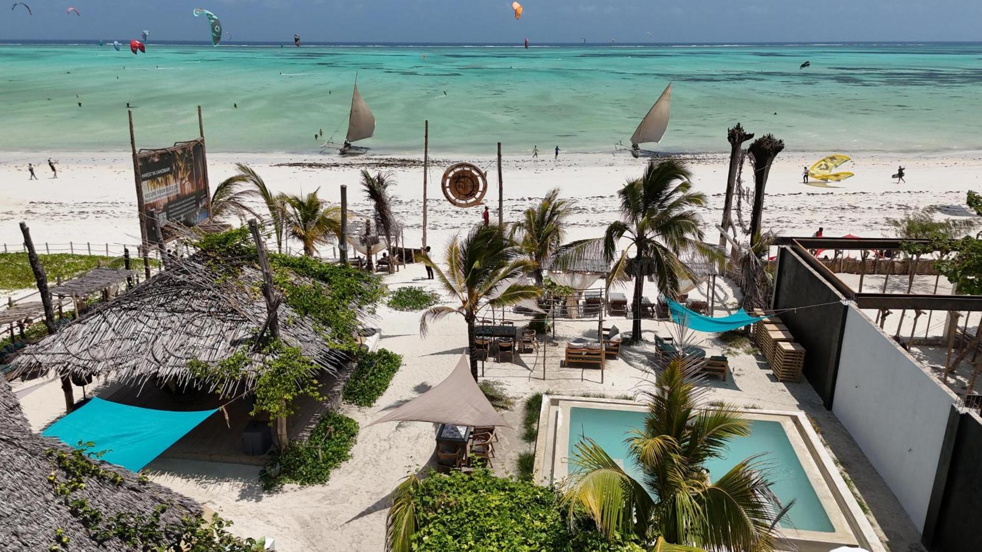 The Nest Tropical Oasis *