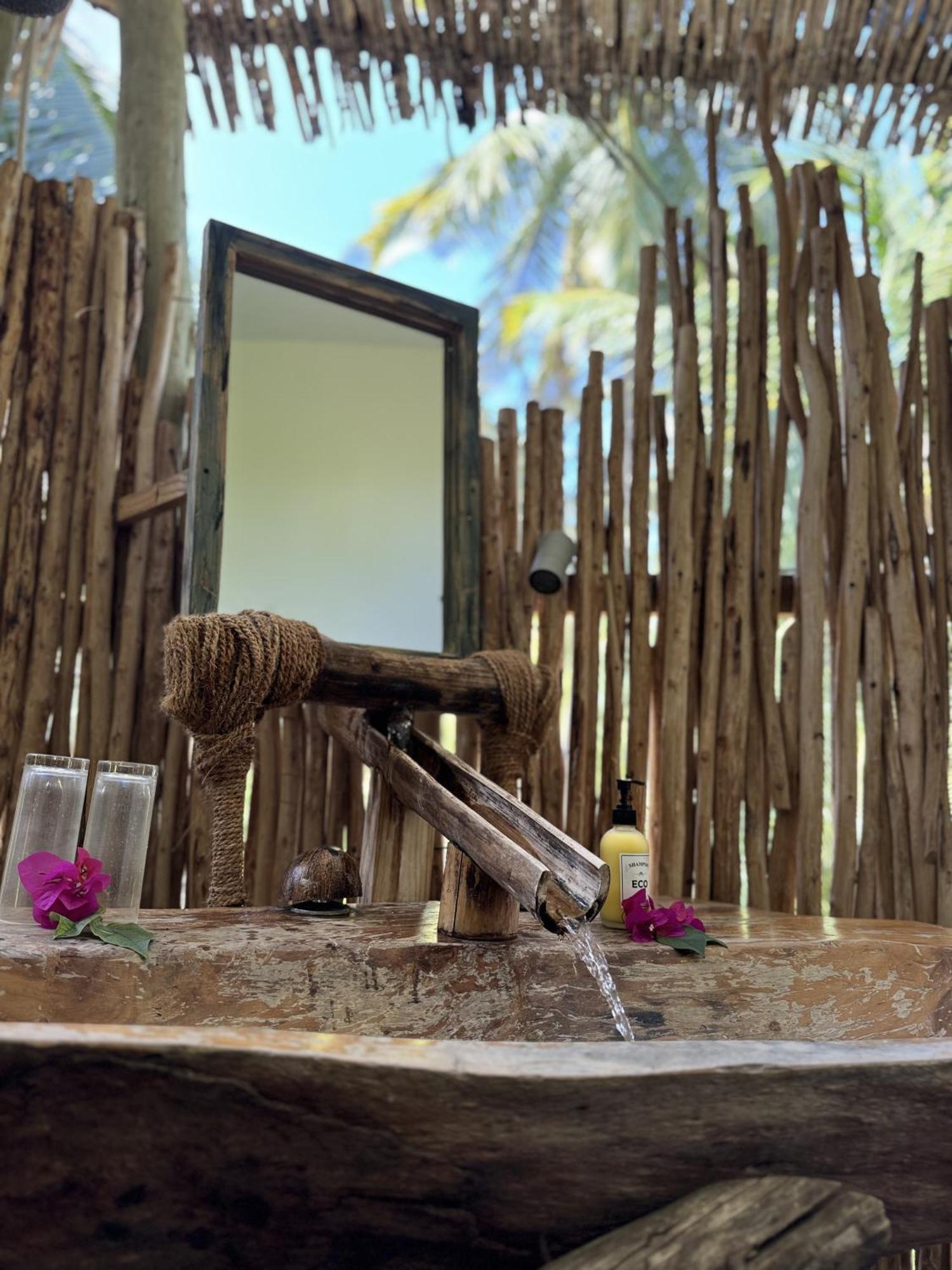 The Nest Tropical Oasis *