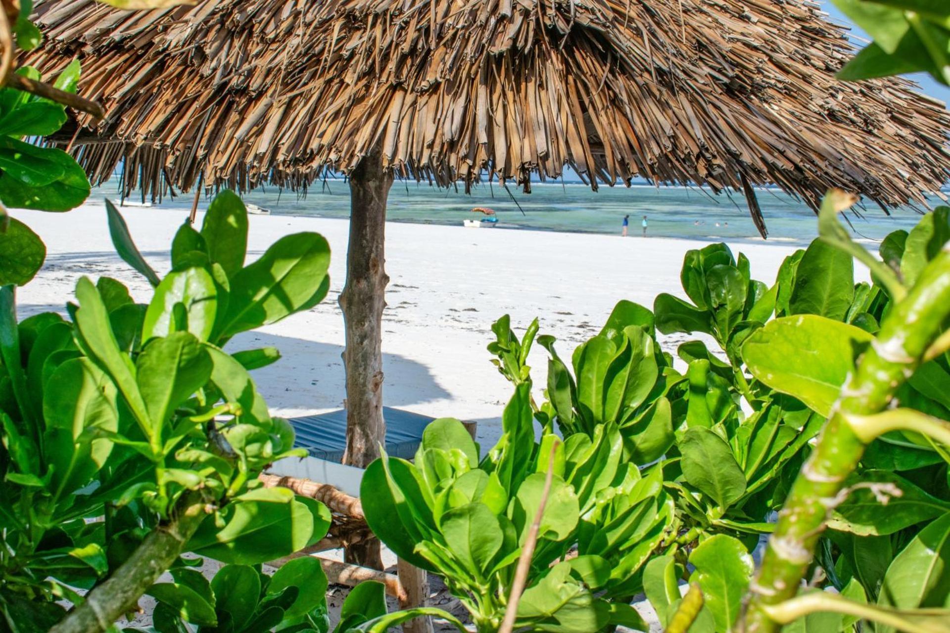 Zoi House Holiday home Matemwe (Zanzibar)