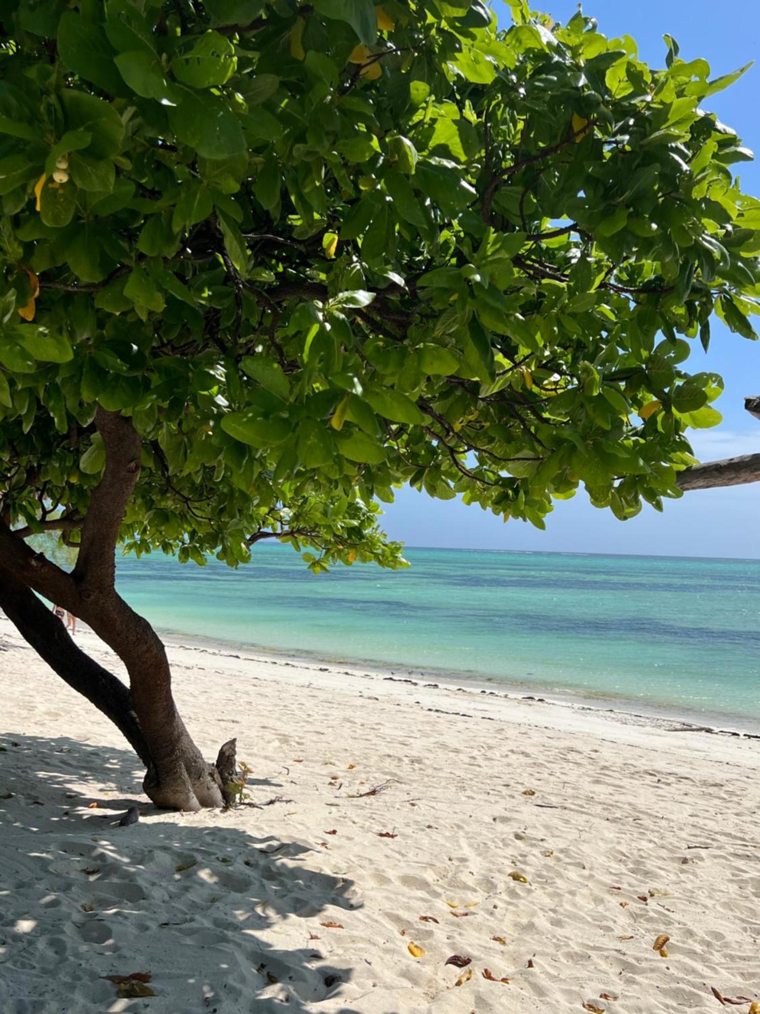 Ujamaa Resort Makunduchi
