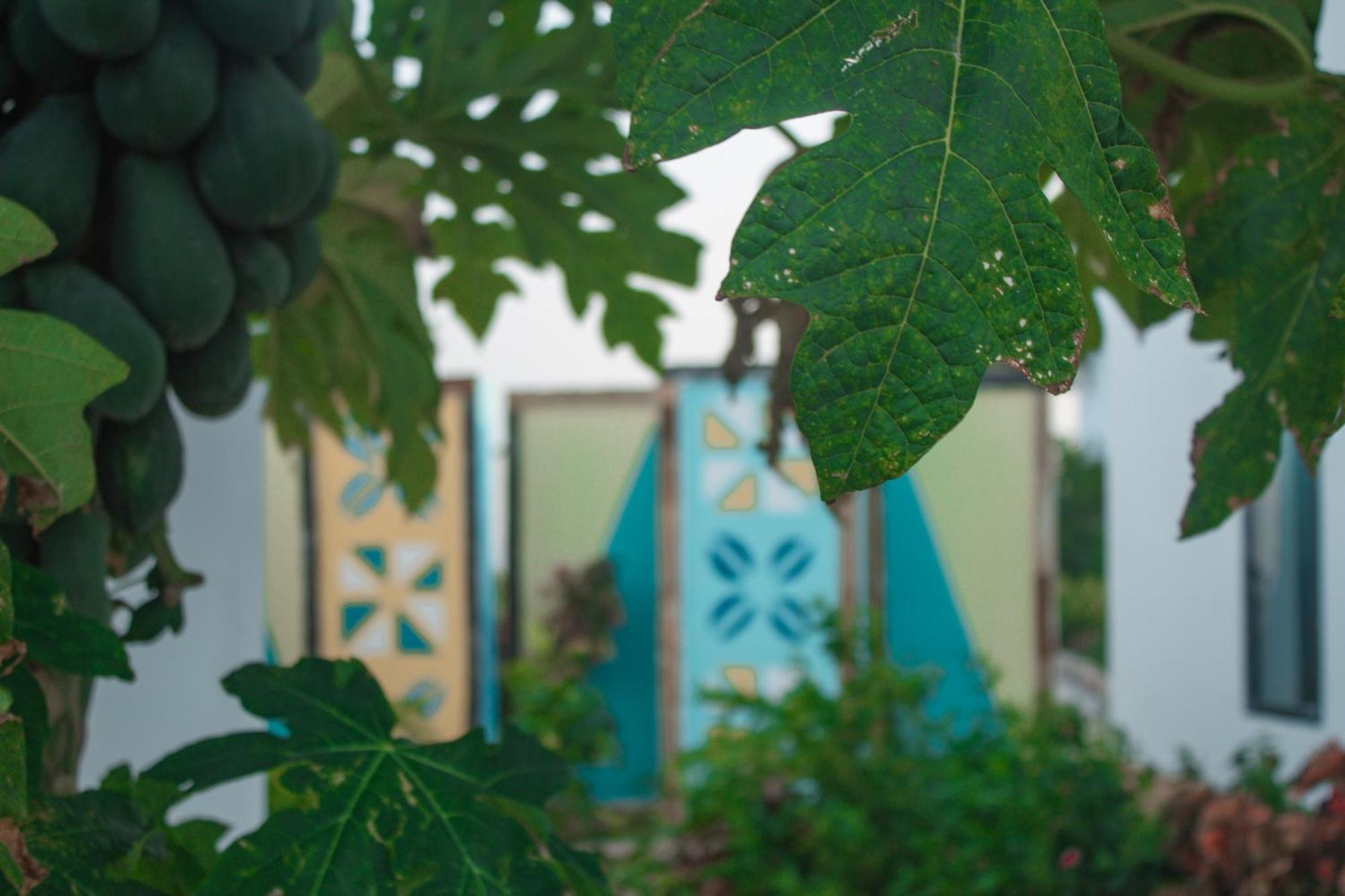 Oasis Blu Resort-adults Only Hotel Nungwi
