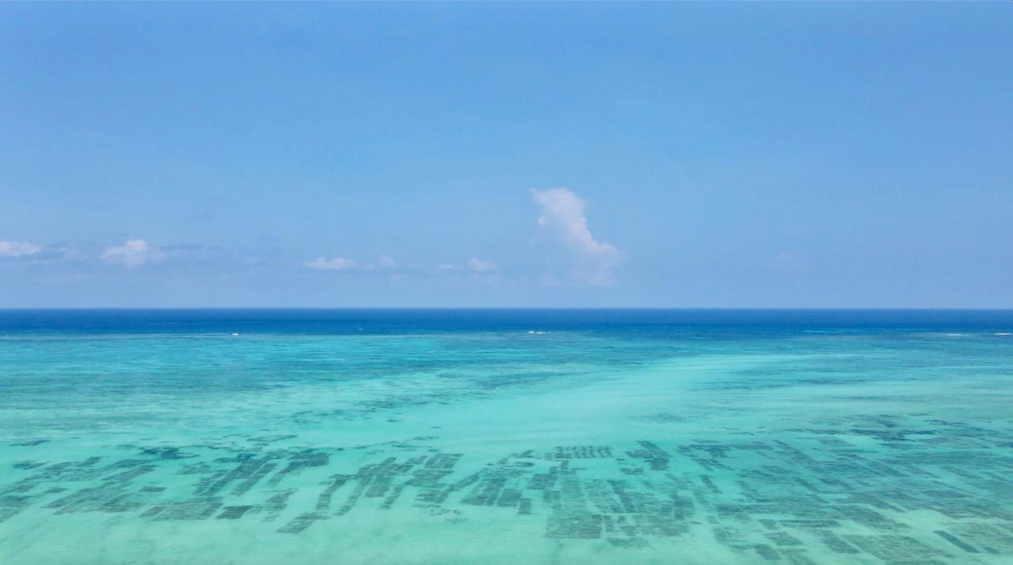 Villa Mikoko - Zanzibar *