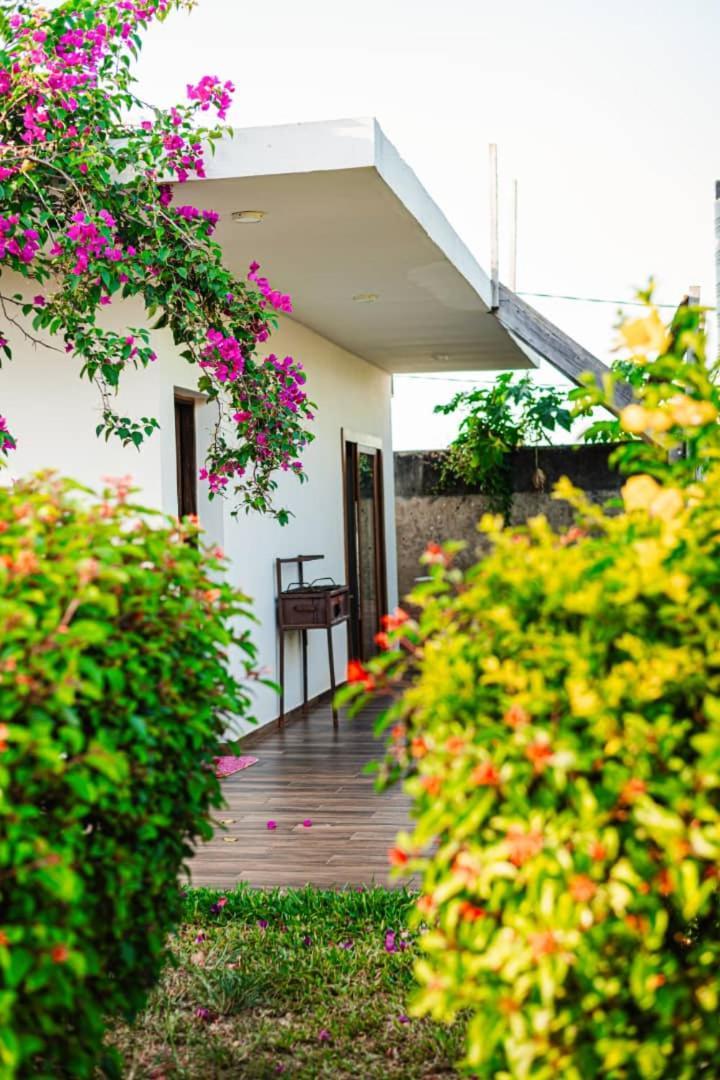 Secret Garden Apartment Kendwa