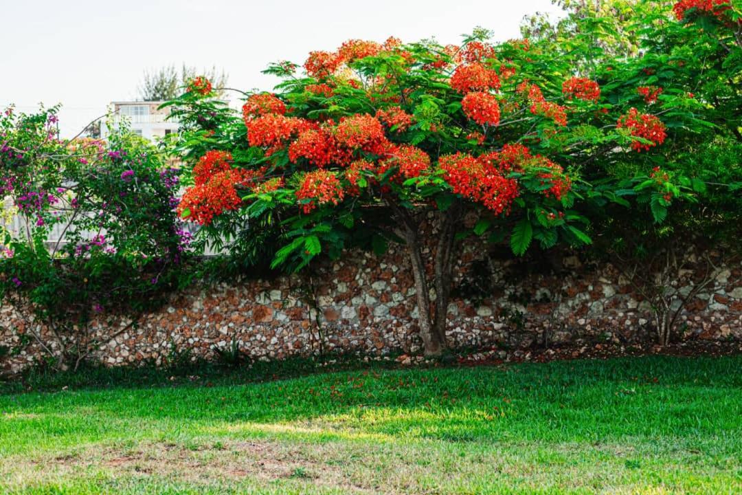 Apartment Secret Garden *