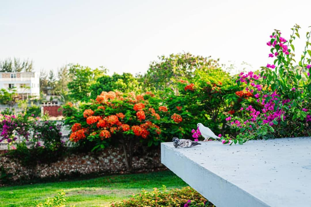 Apartment Secret Garden