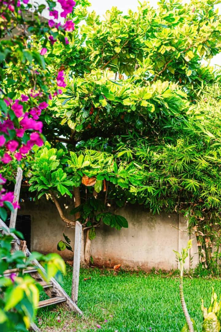 Secret Garden Apartment Kendwa