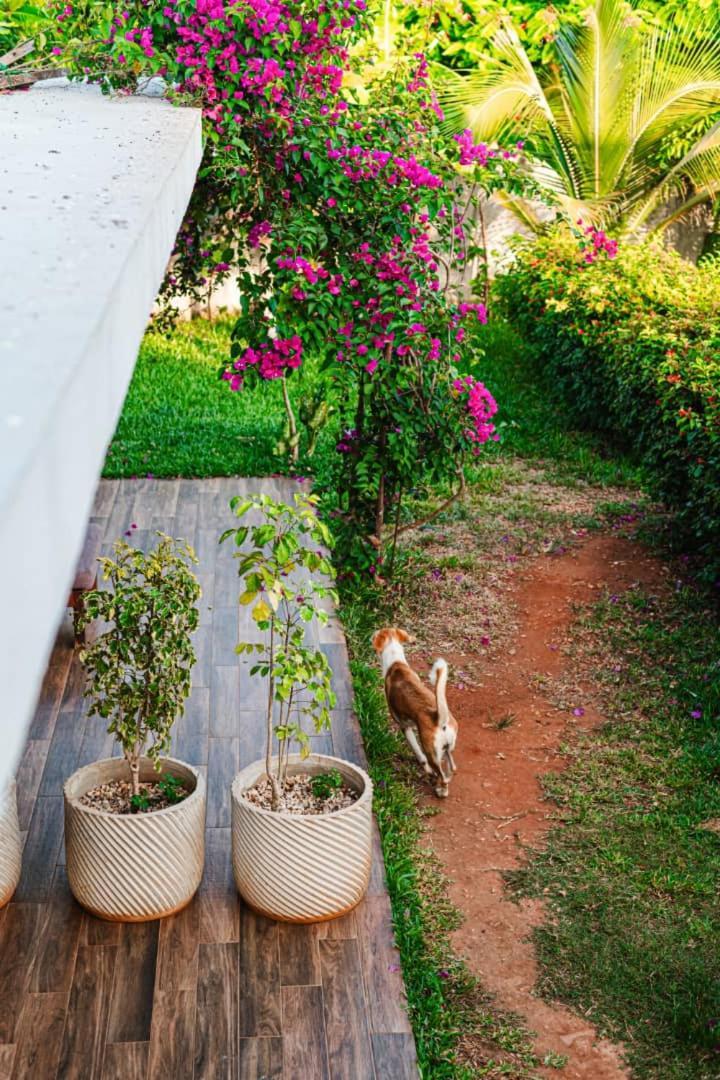 Secret Garden Apartment *