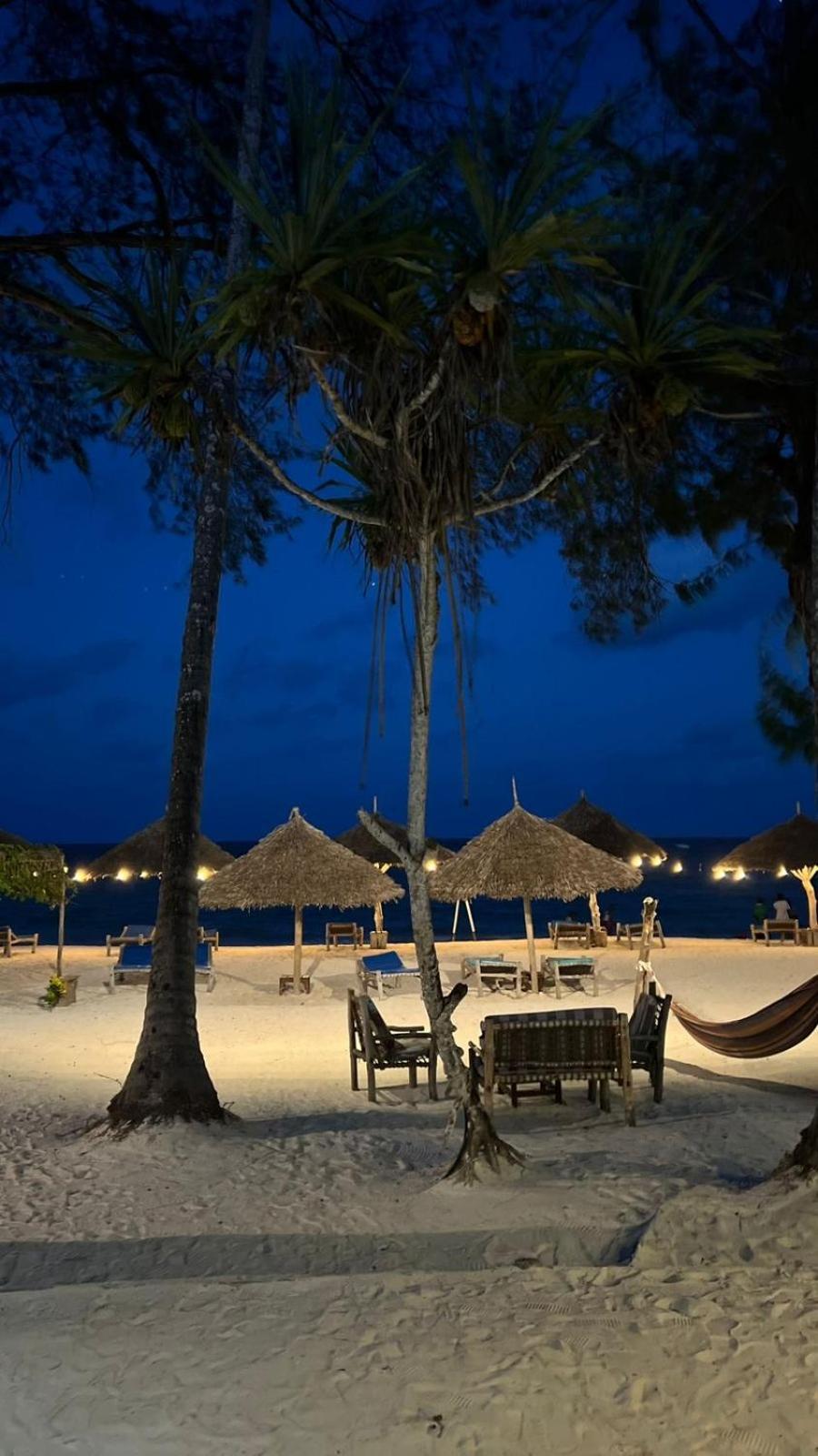 Seashore Kiwengwa (Zanzibar)