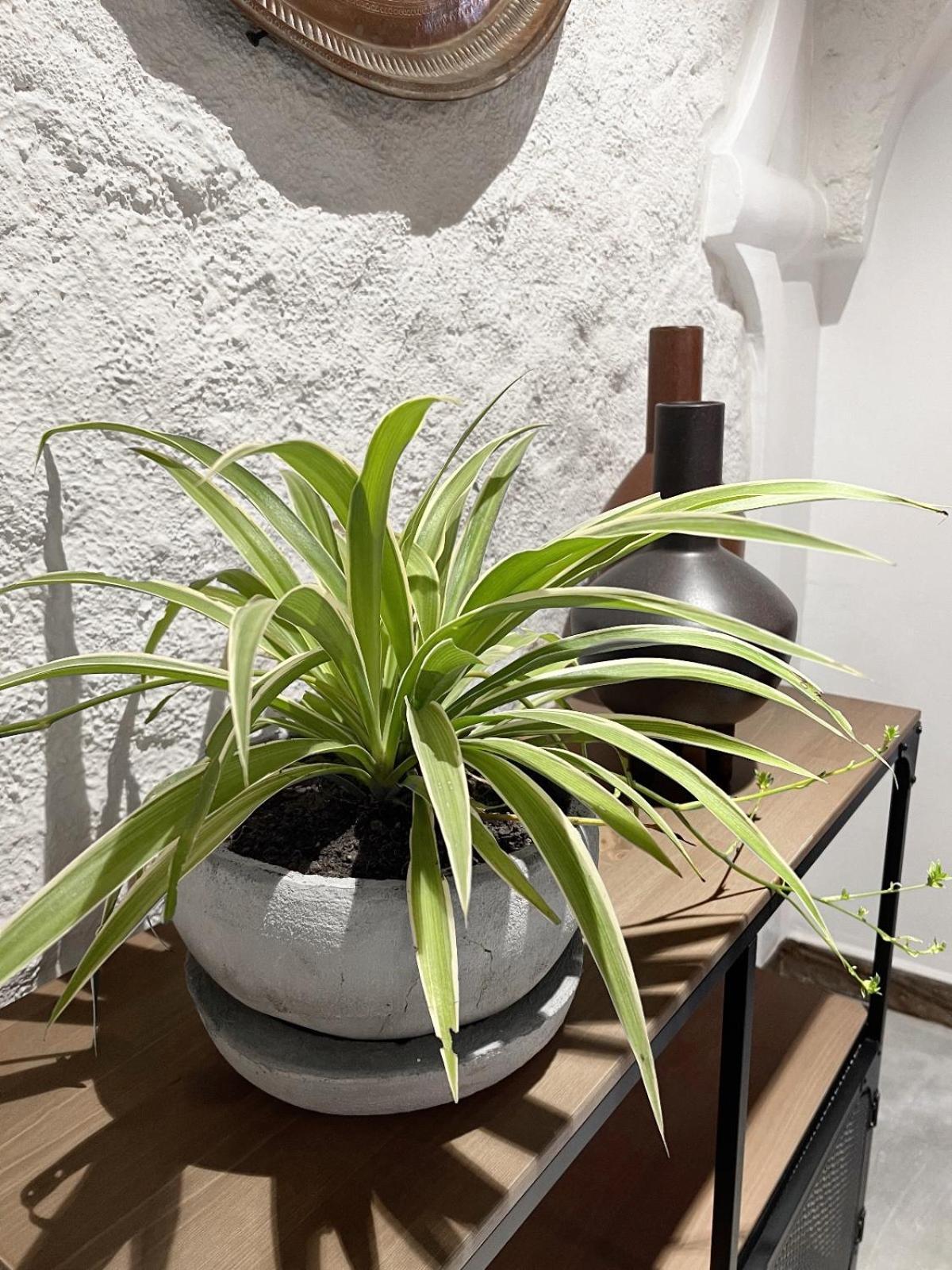 Apartment Luxury Zanzibari Stone Town House By Liv