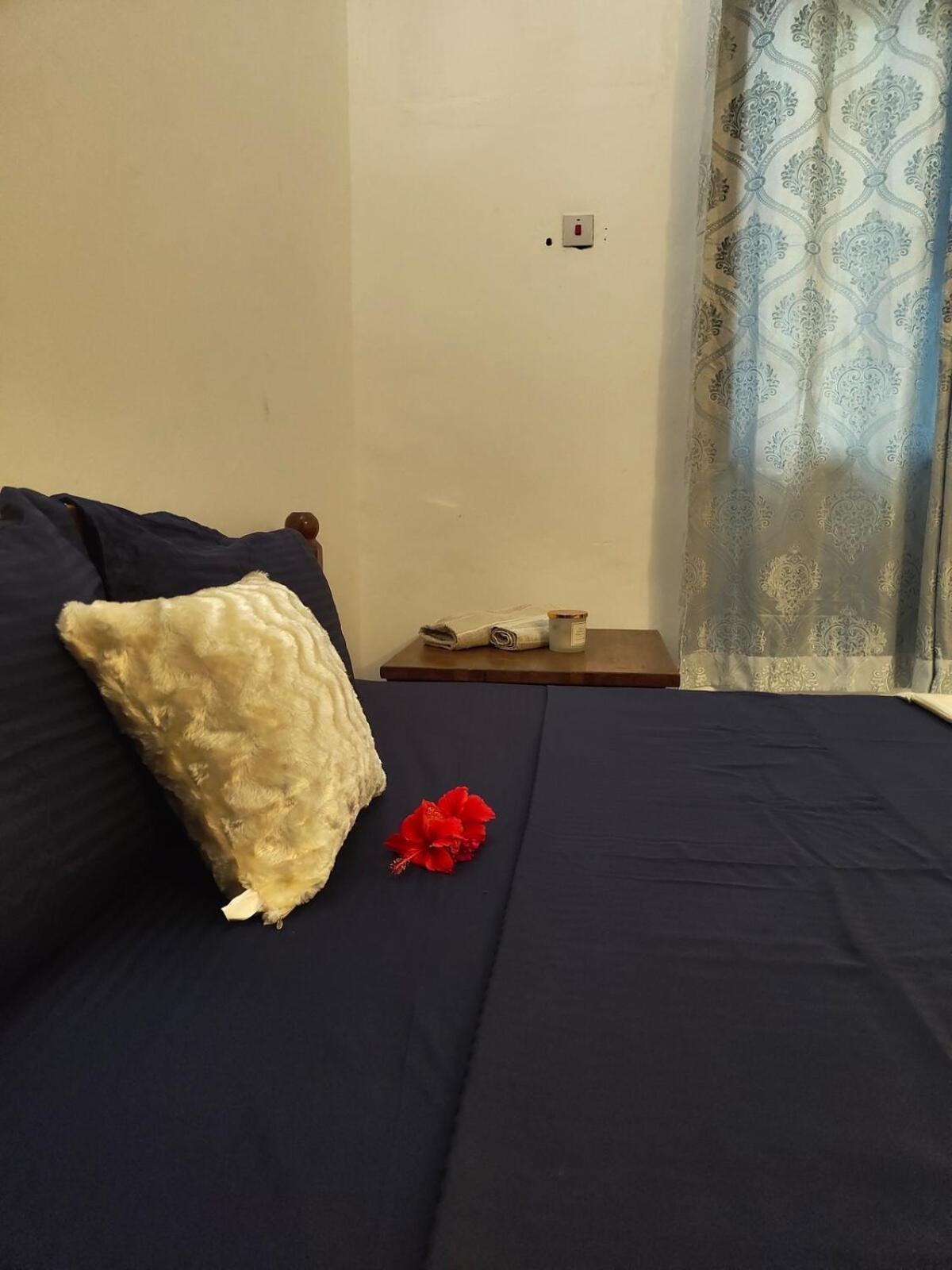 Salama Garden Mbweni Apartment Zanzibar