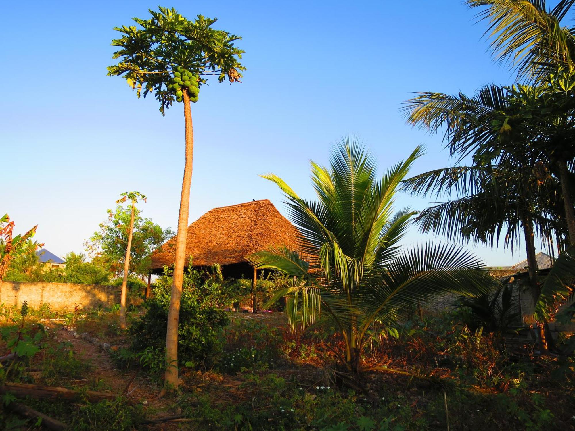 Yoga&gym Zanzibar