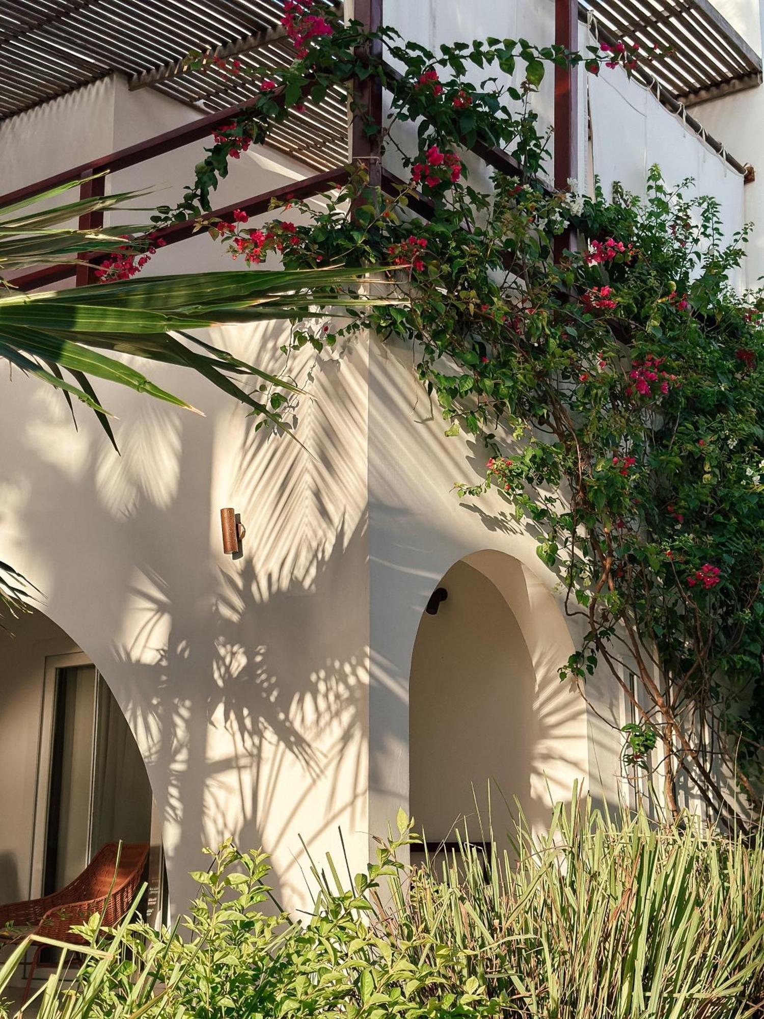 Hotel Alma Boutique 5*