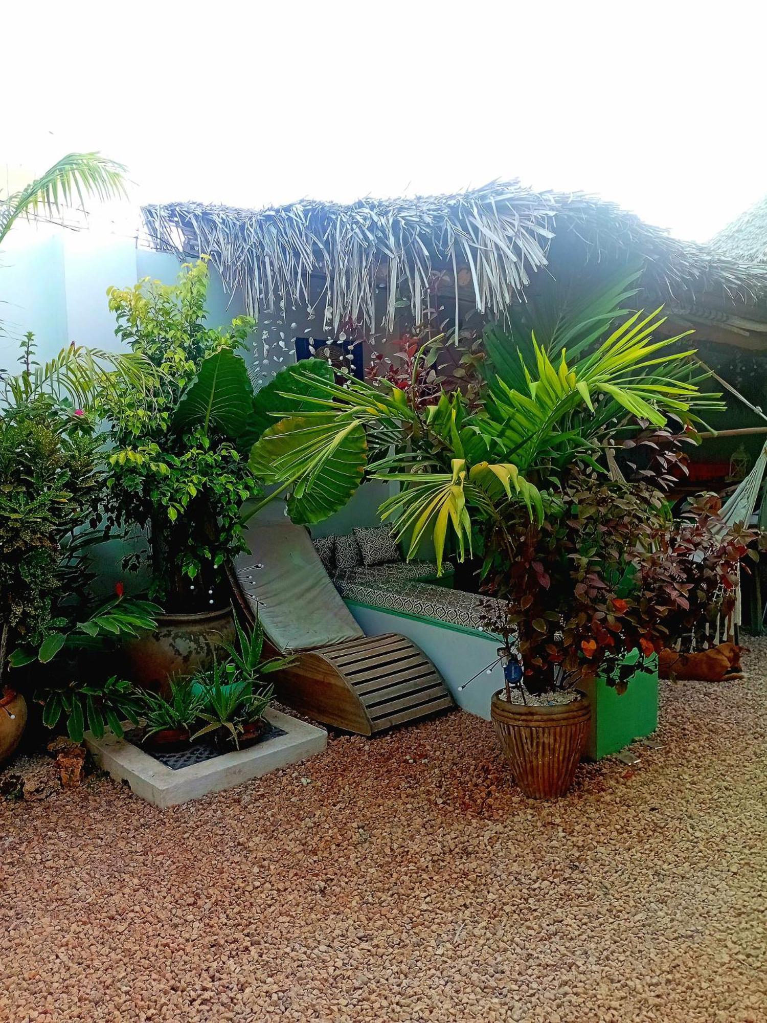 Coco Hause *