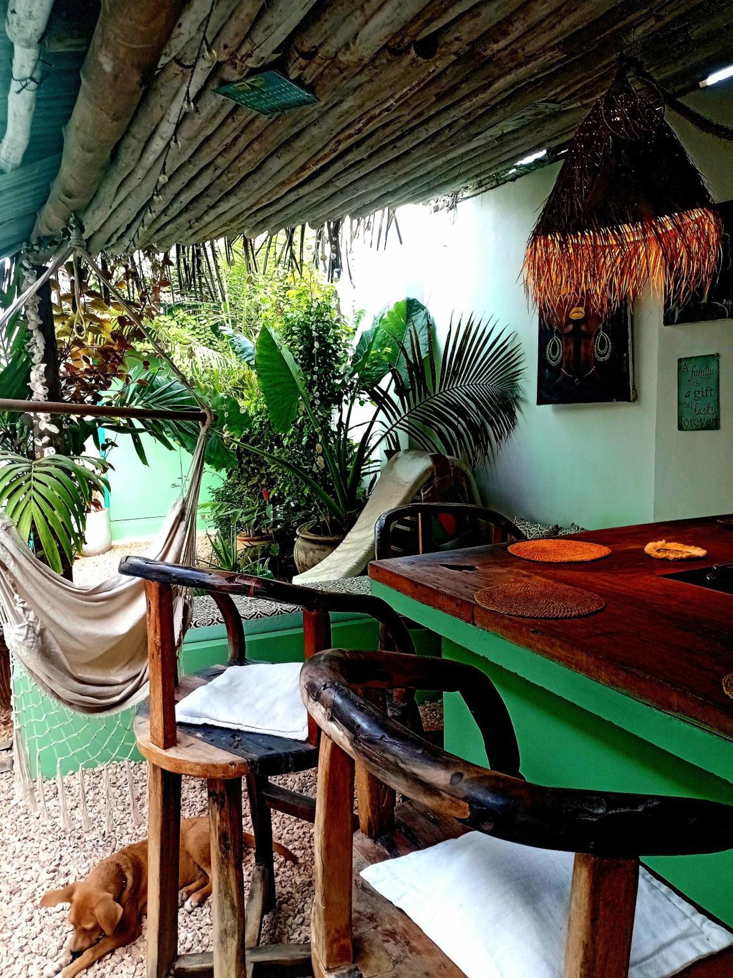 Coco Hause * Nungwi