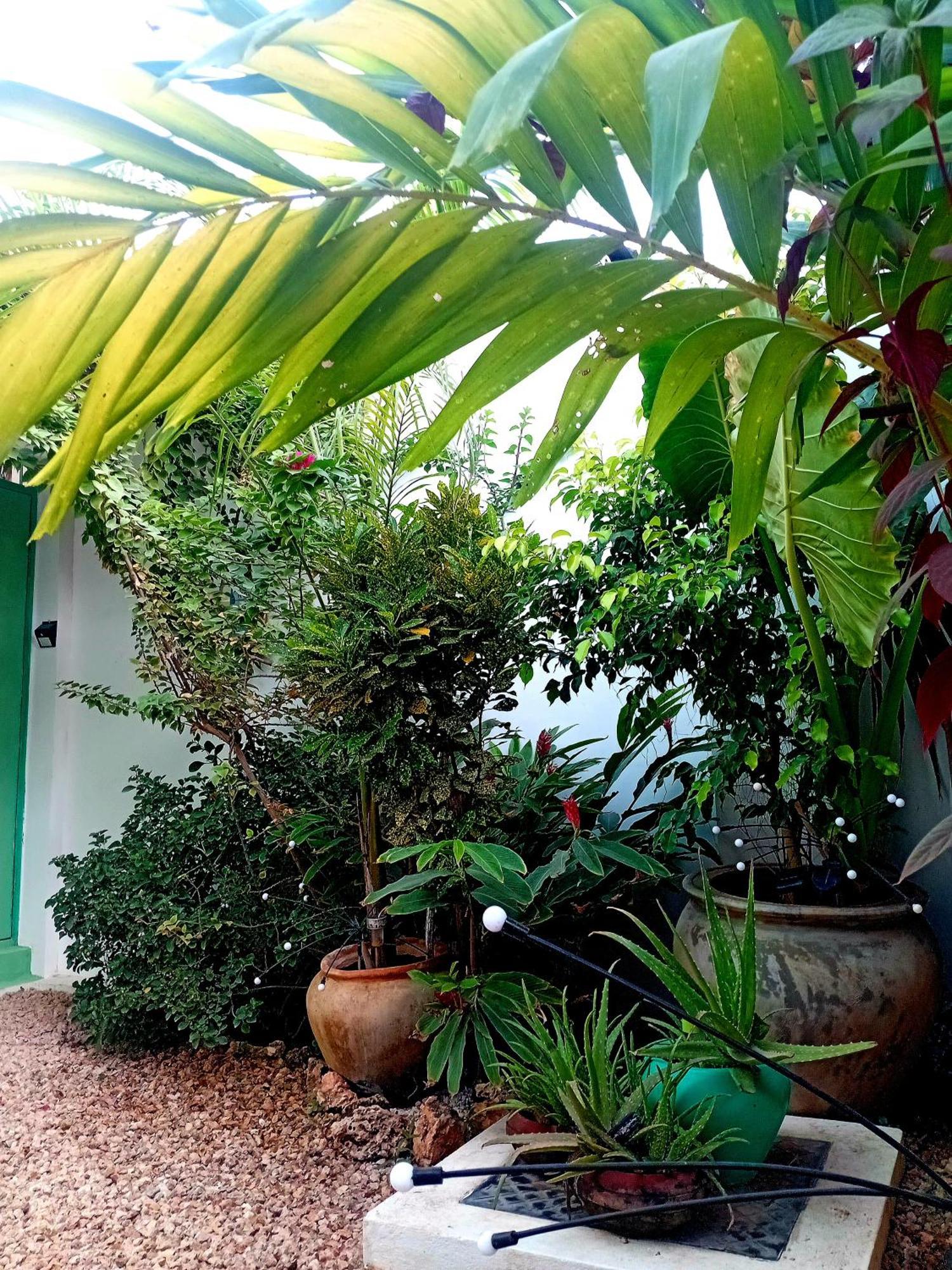 Coco Hause Homestay