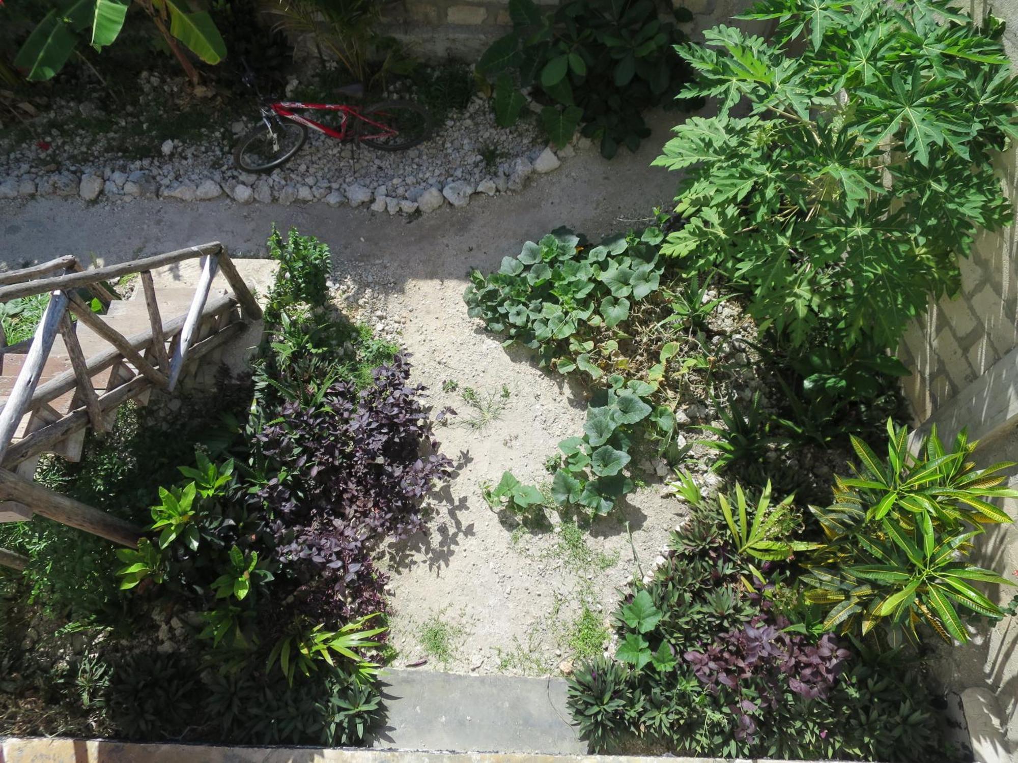 Yoga&gym Zanzibar Homestay *