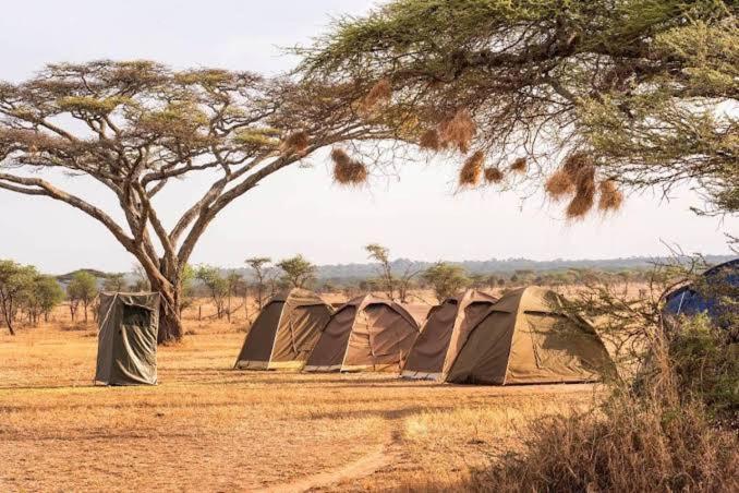 Luxury tent Silver Travel Safari Zanzibar