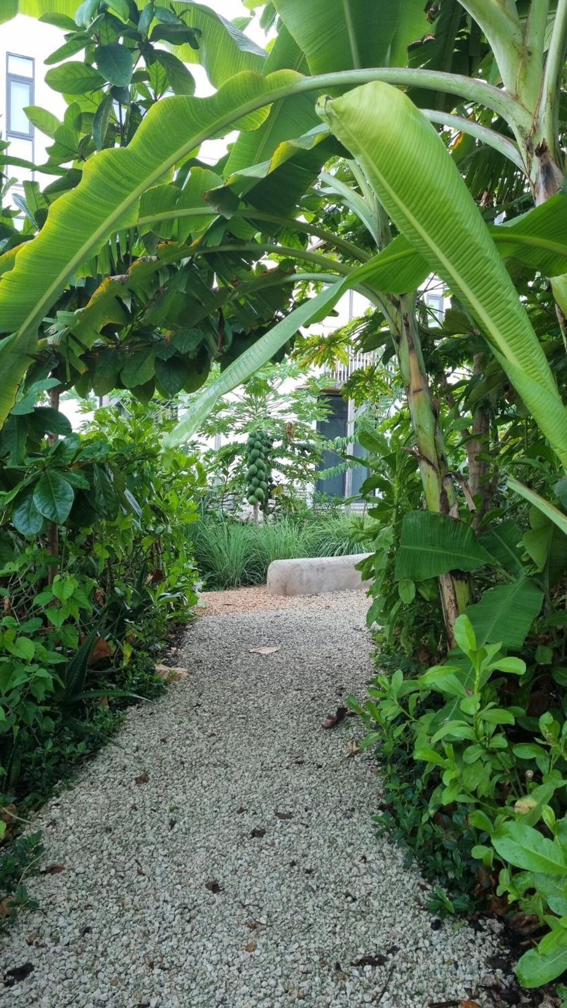 Tropical Haven At The Soul, Appartement