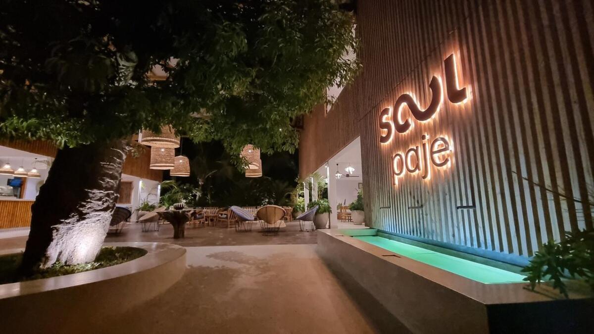 Tropical Haven At The Soul,