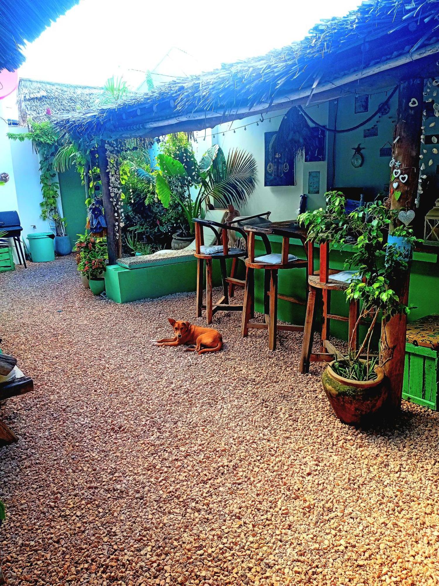 Coco Hause Homestay *