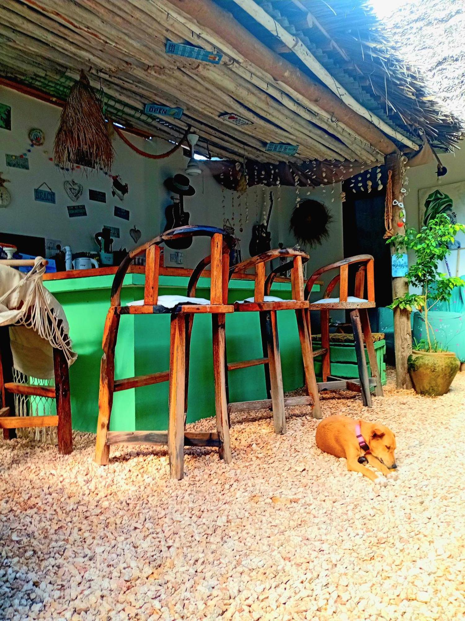 Coco Hause *
