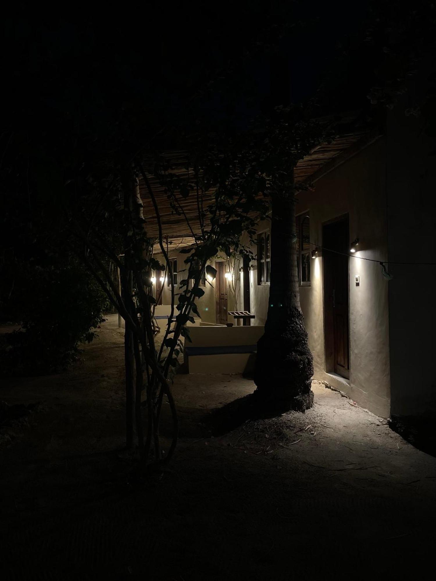 Liquid Life By Buccaneer Hostel *