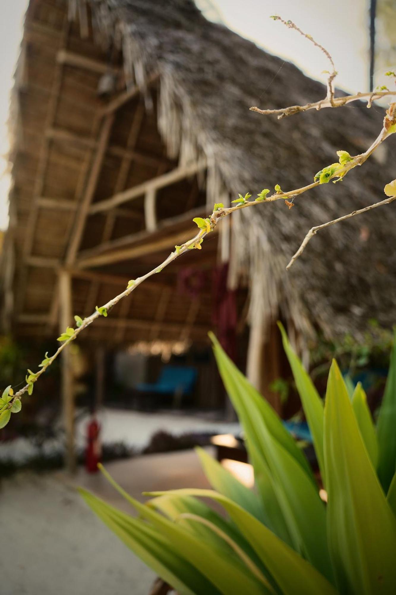 Your Zanzibar Place * Paje