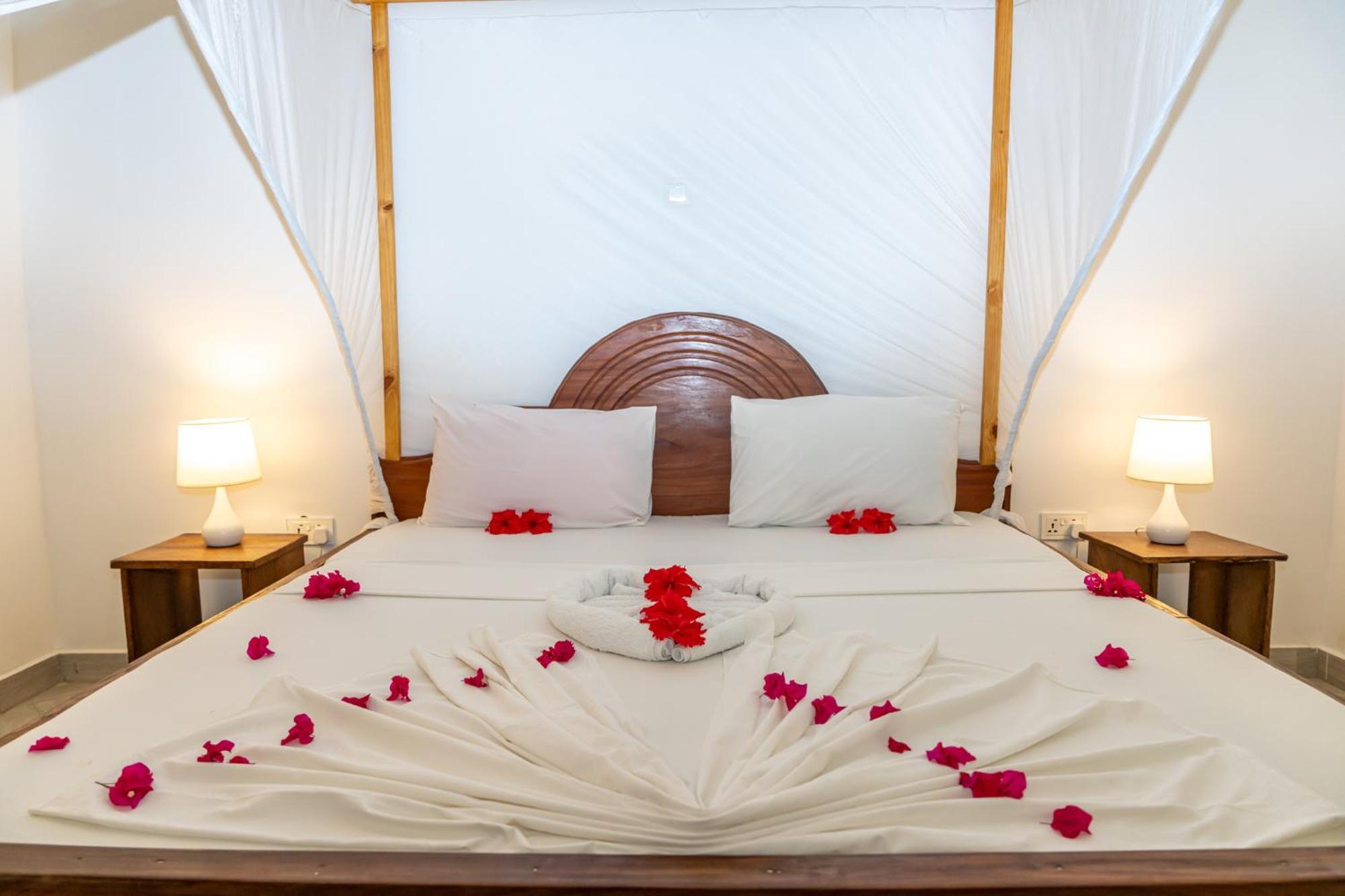 Liquid Life By Buccaneer Hostel Paje