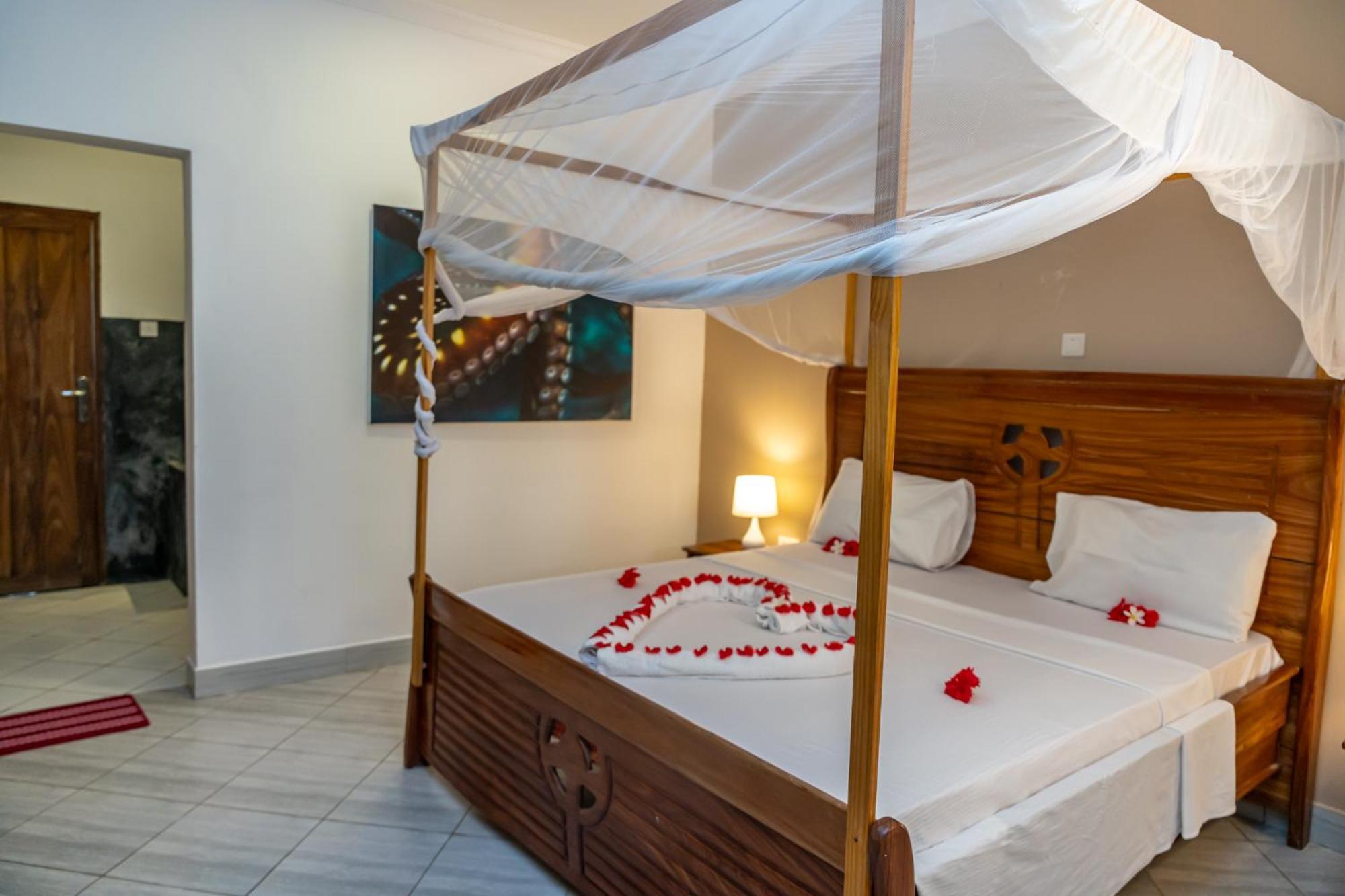 Liquid Life By Buccaneer Hostel *