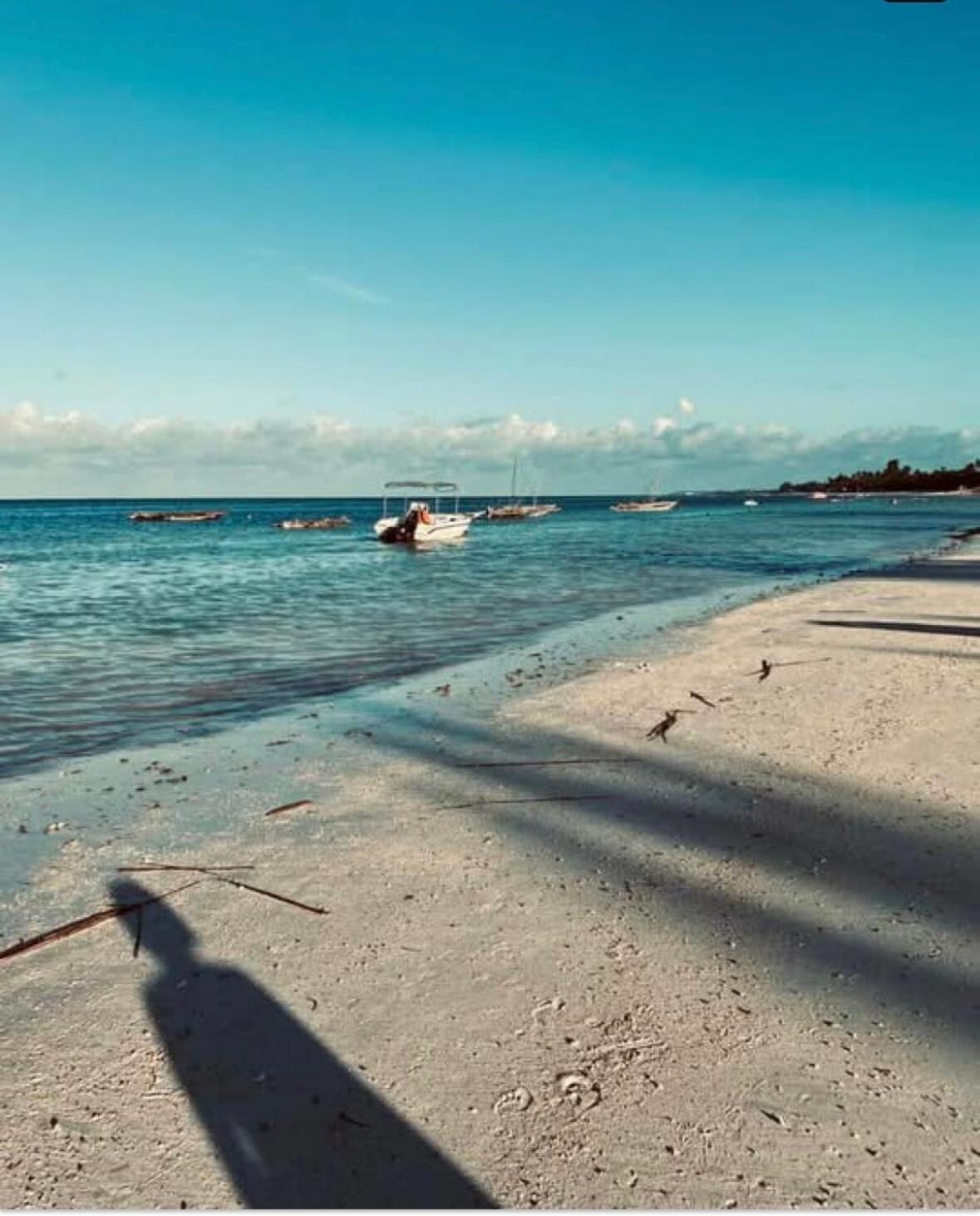 For Rent In Zanzibar *