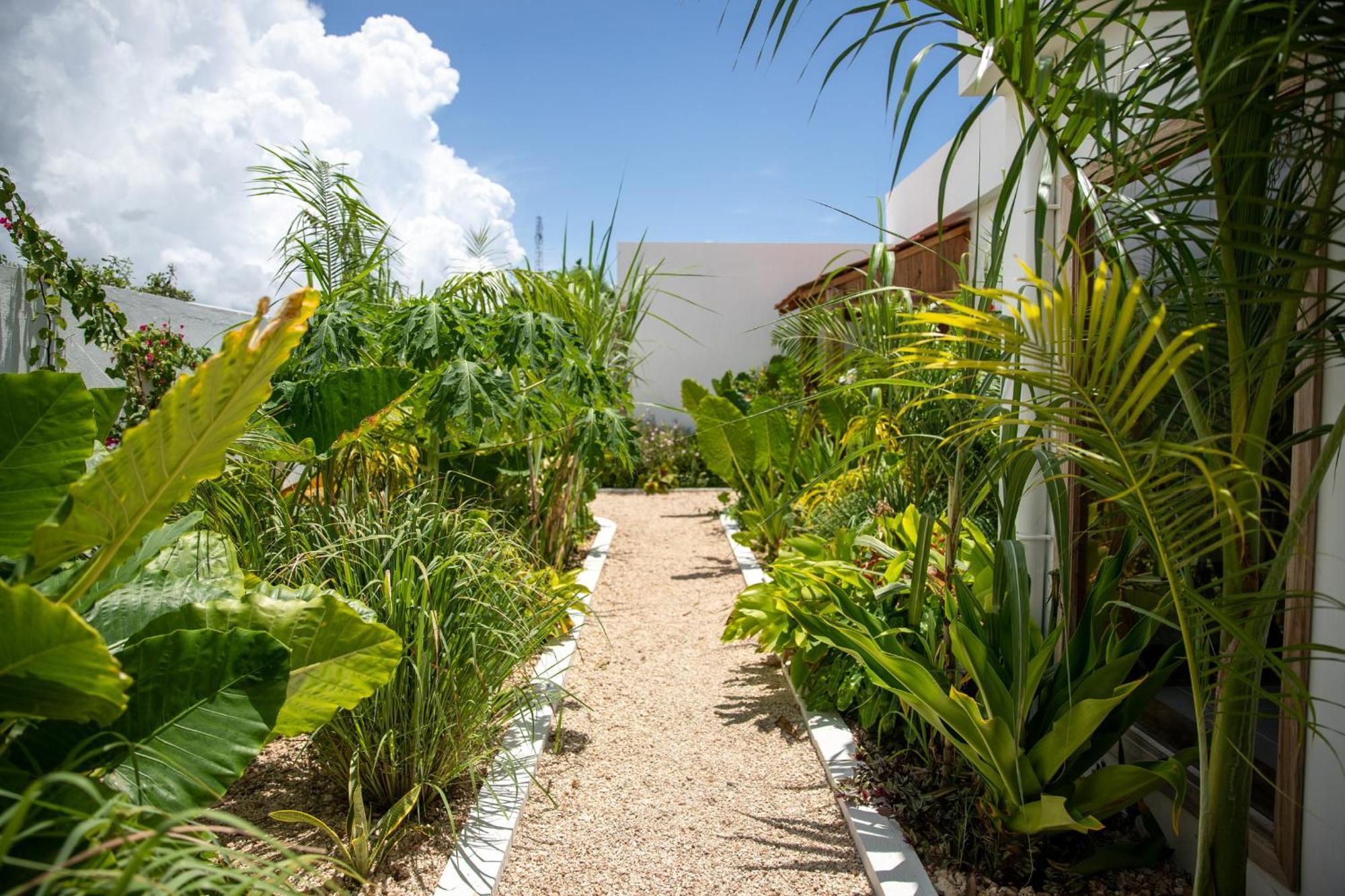 Villa Pola Zanzibar