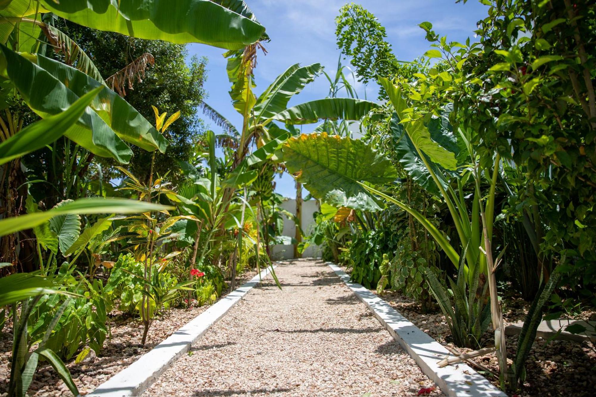 Villa Pola Zanzibar Jambiani (Zanzibar)
