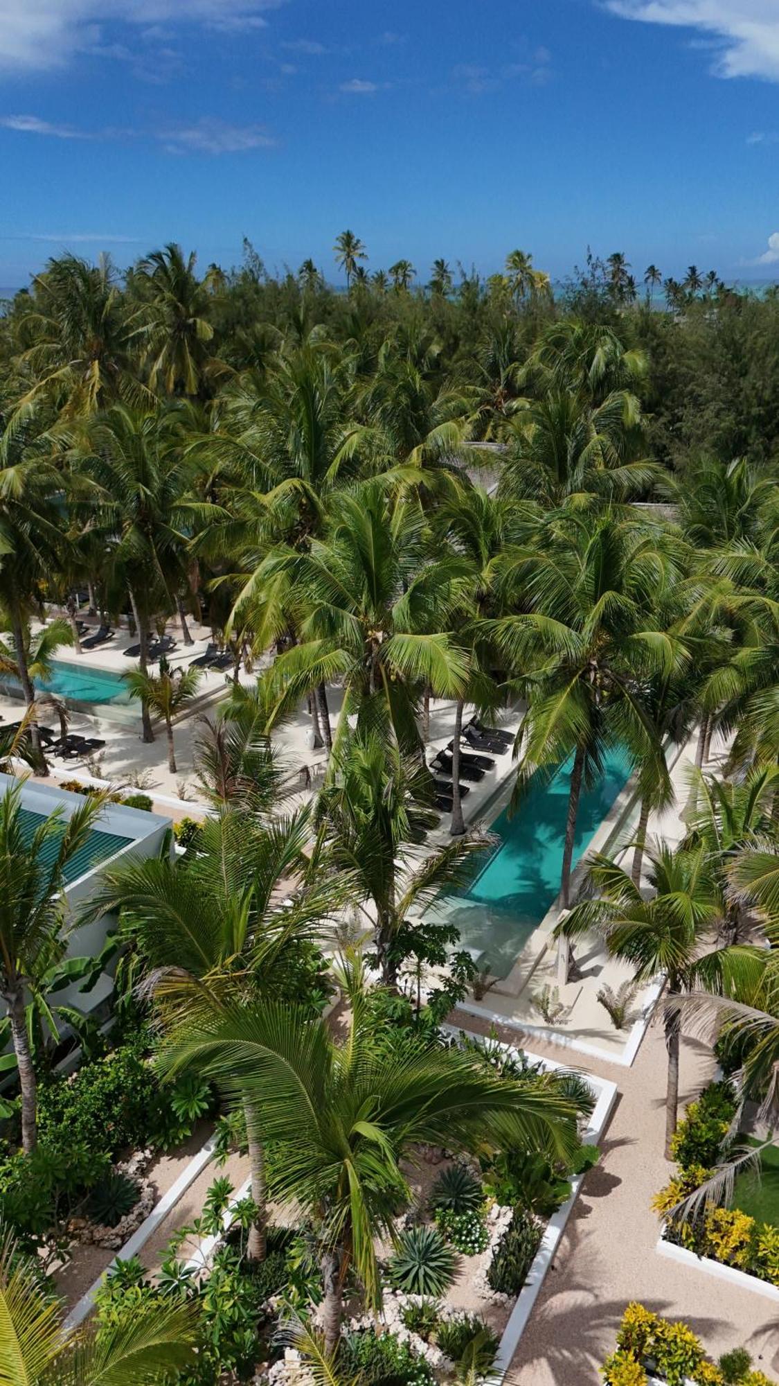 The Oasis Hotel