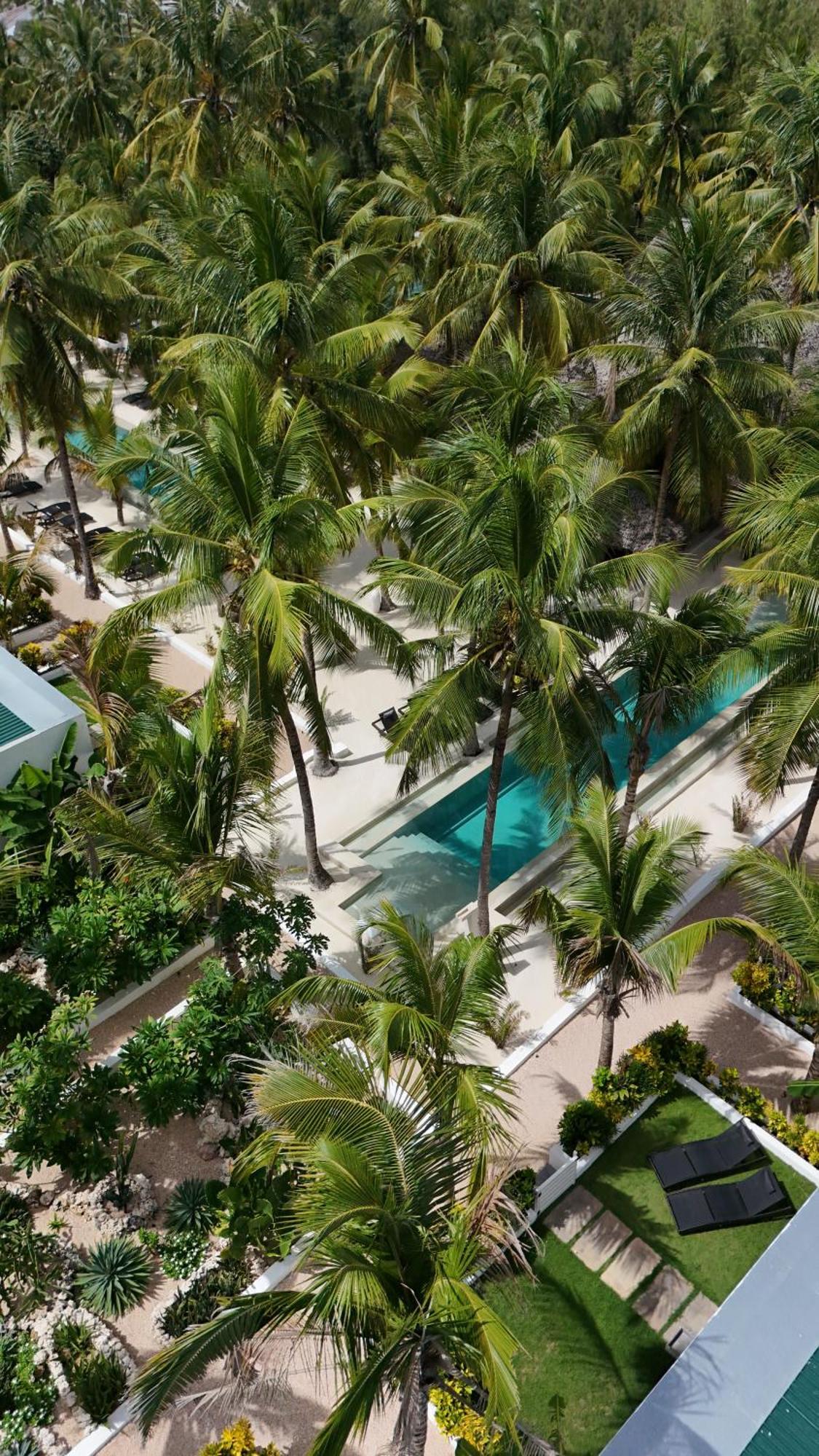 The Oasis 3*