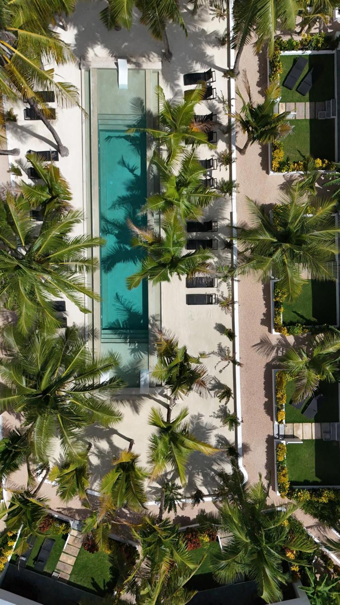 The Oasis