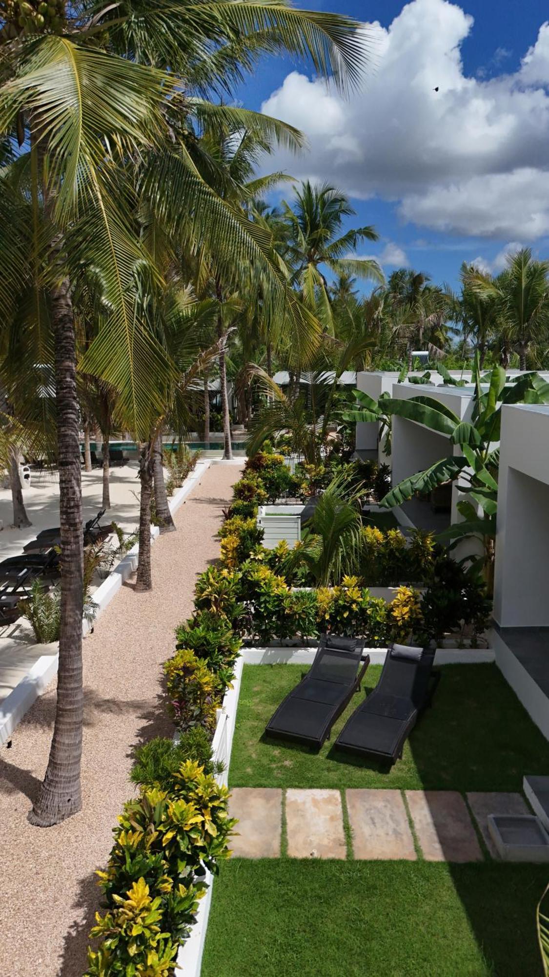 Hotel The Oasis