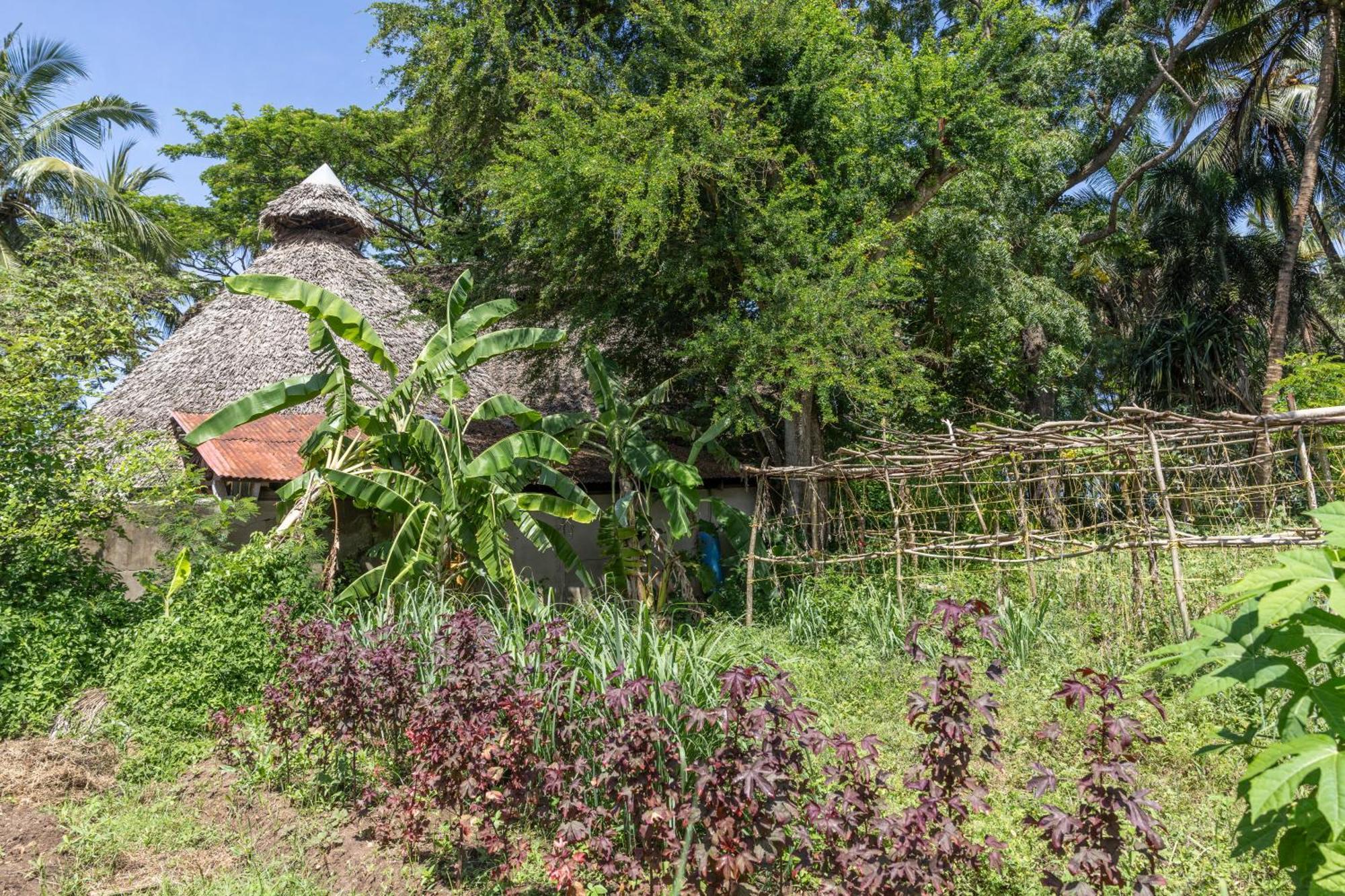 Mbweni Ruins & Gardens Previously Jungle Paradise 4* Zanzibar