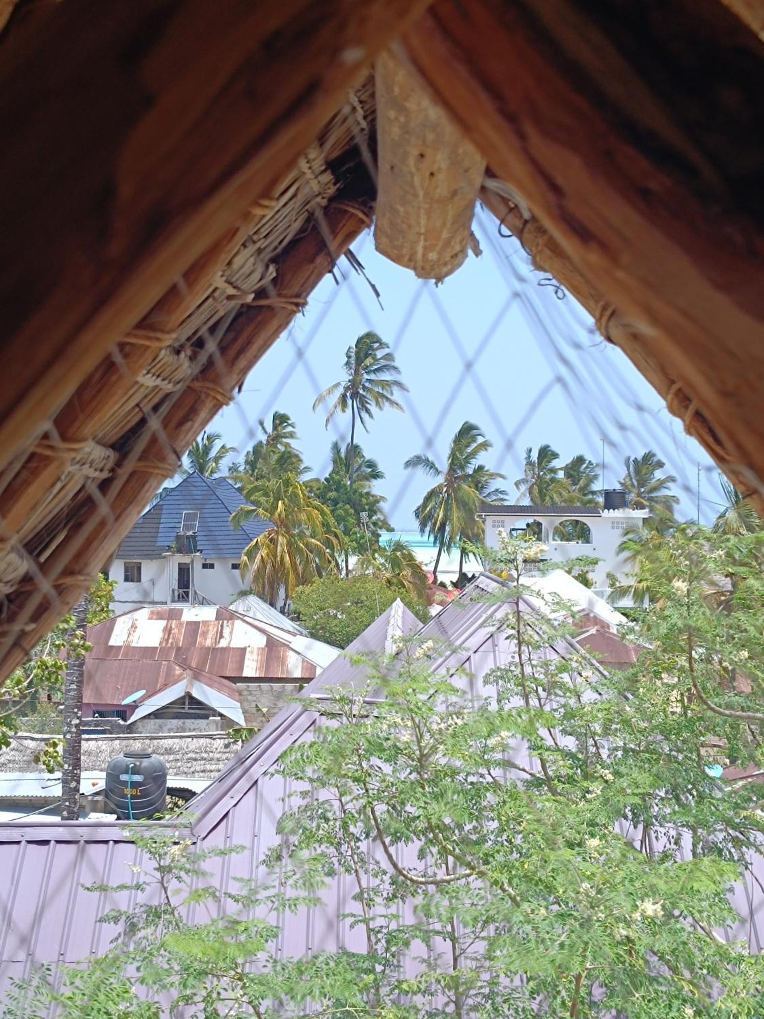 Mgongo Tree House *