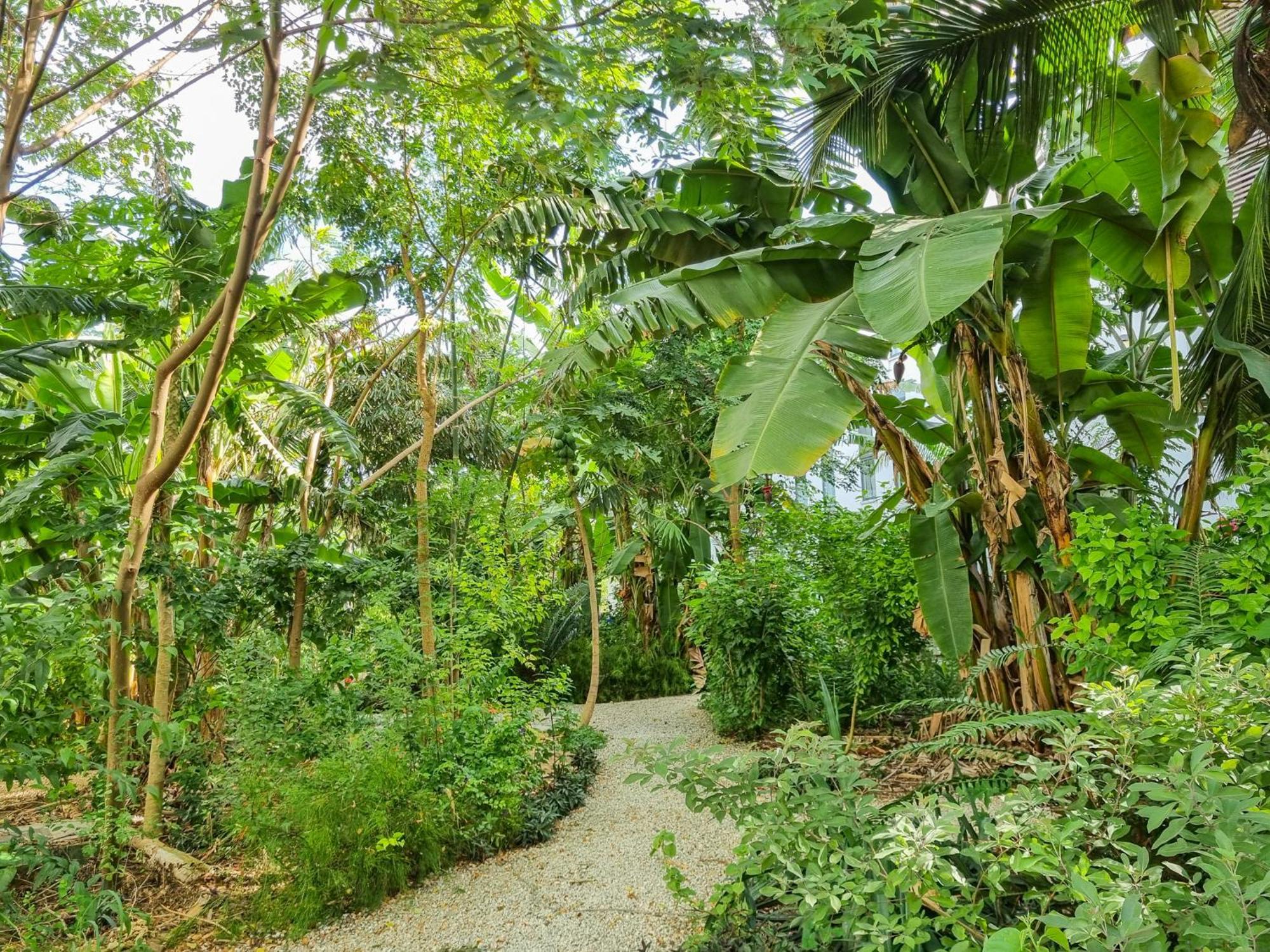 Tropical Haven At The Soul, Appartement *