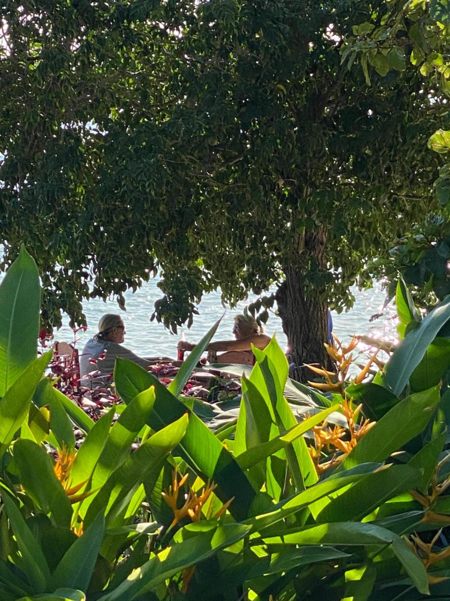 Mangrove