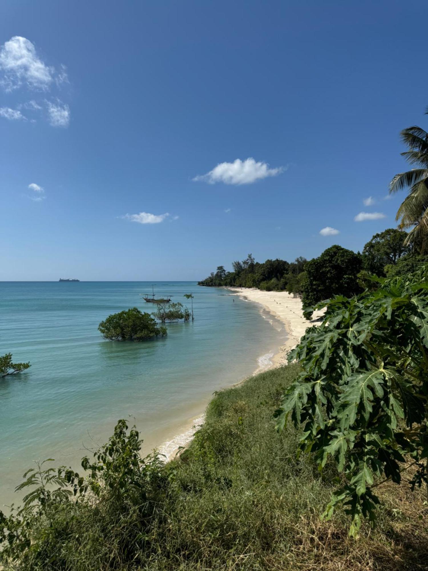 Hotel Mangrove