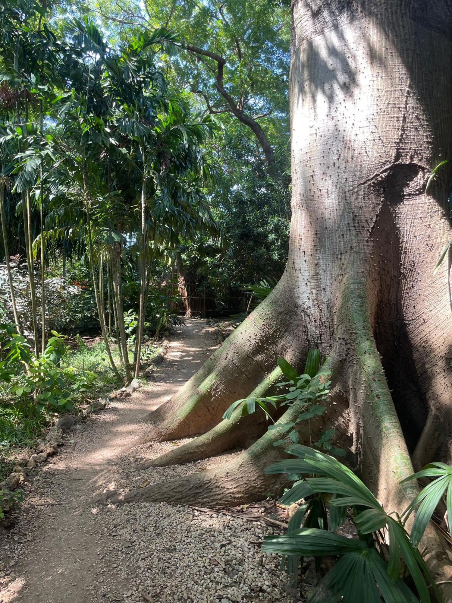 Mbweni Ruins & Gardens Previously Jungle Paradise Hotel