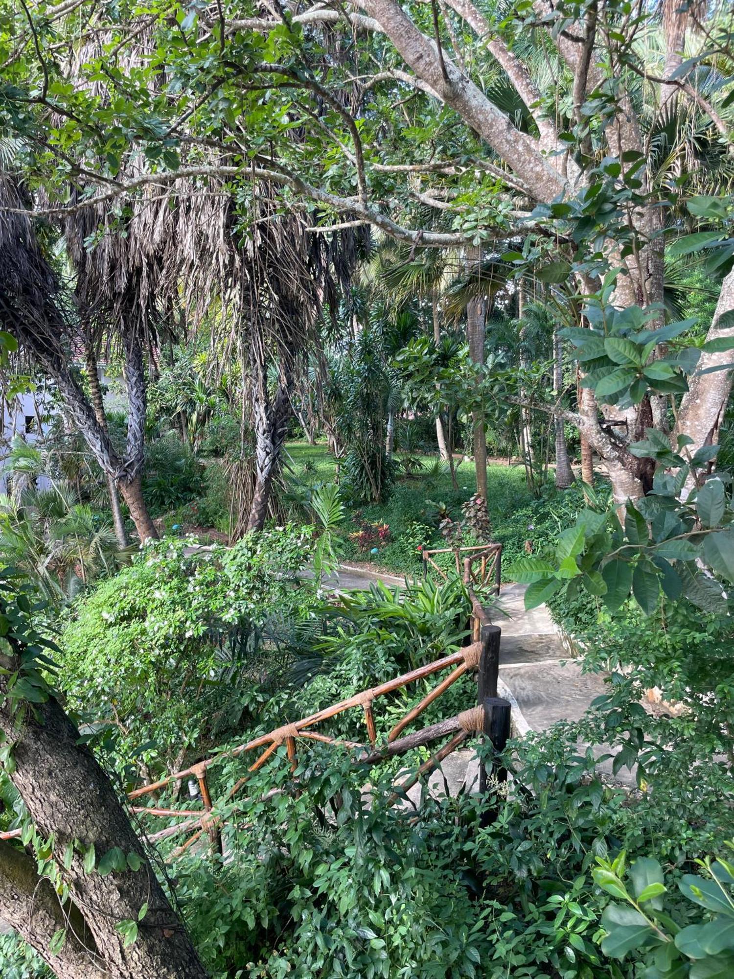 Mbweni Ruins & Gardens Previously Jungle Paradise Zanzibar